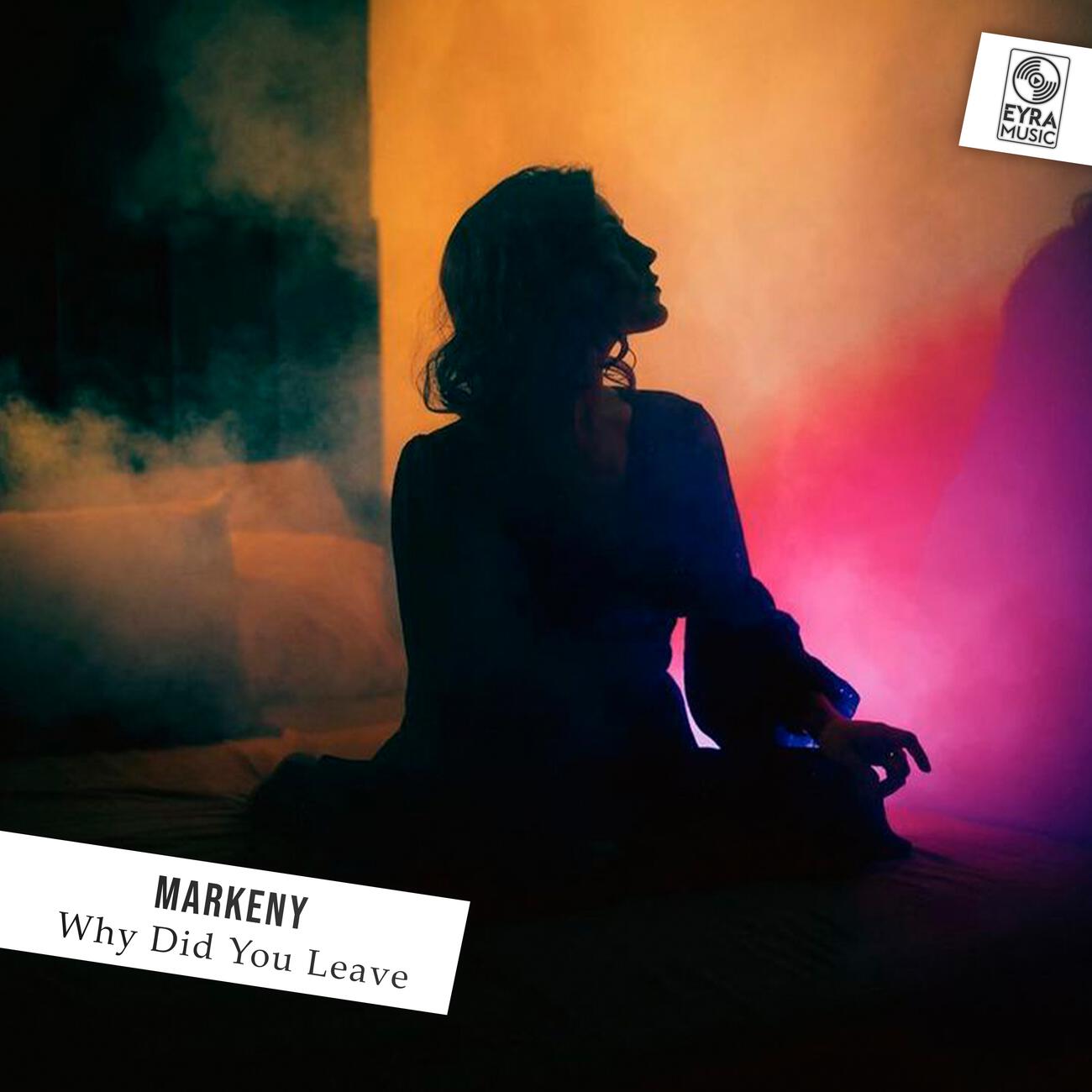 Постер альбома Why Did You Leave