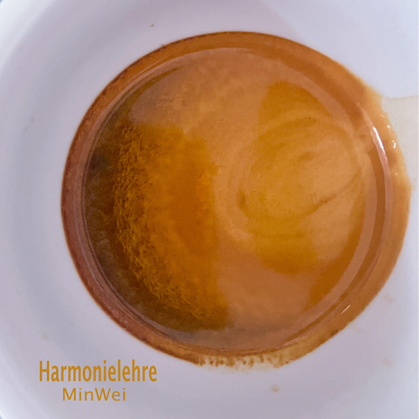 Релиз Harmonielehre