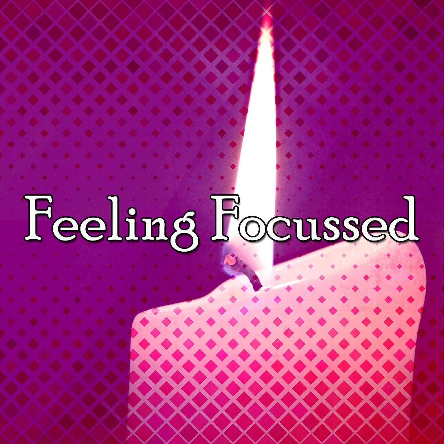 Релиз Feeling Focussed