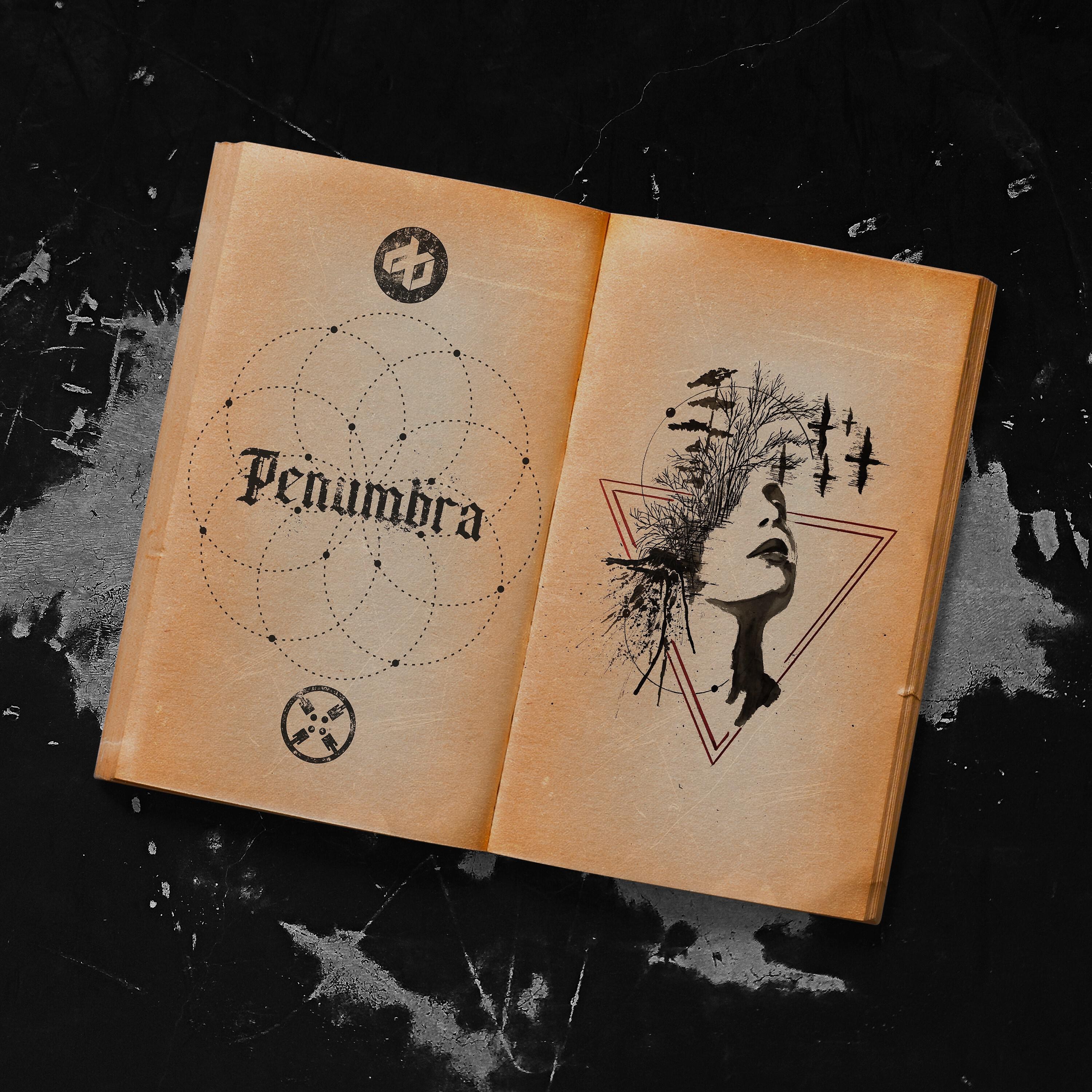 Постер альбома Penumbra