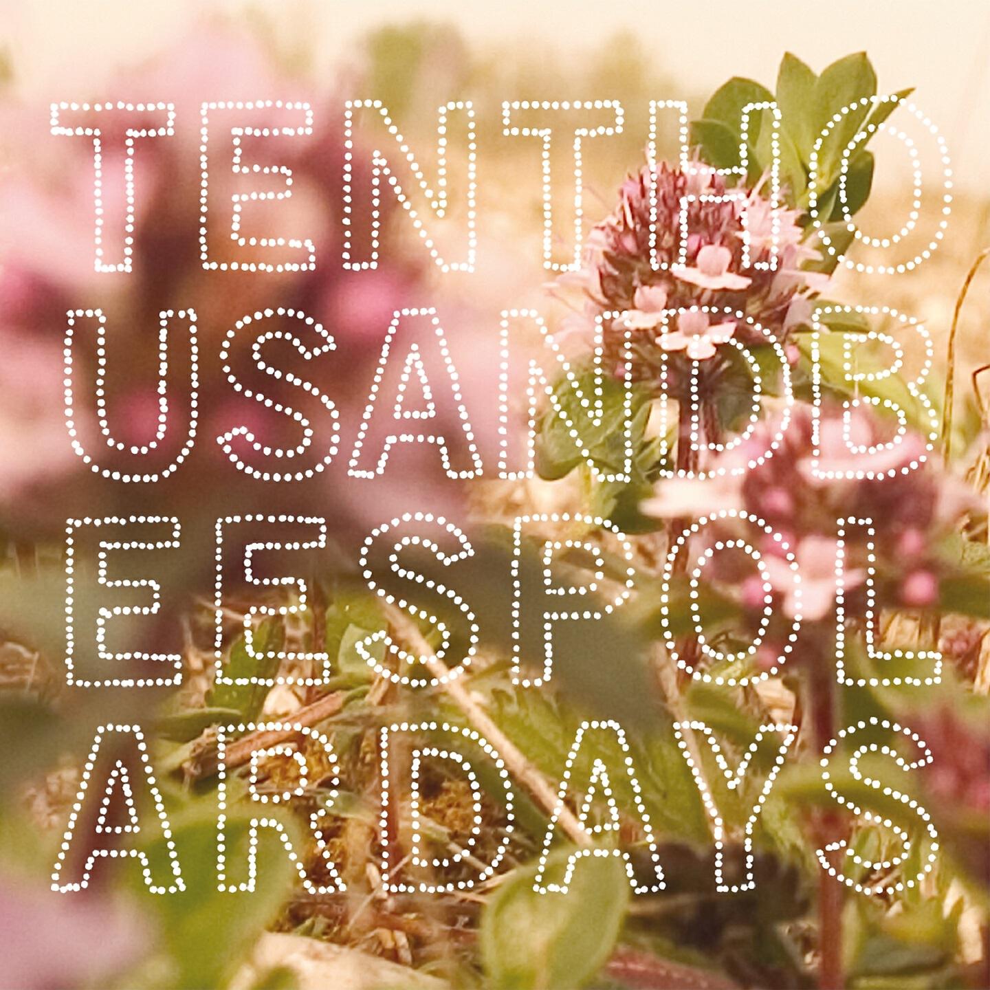 Ten Thousand Bees