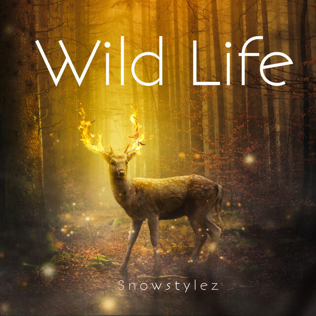Релиз Wild Life