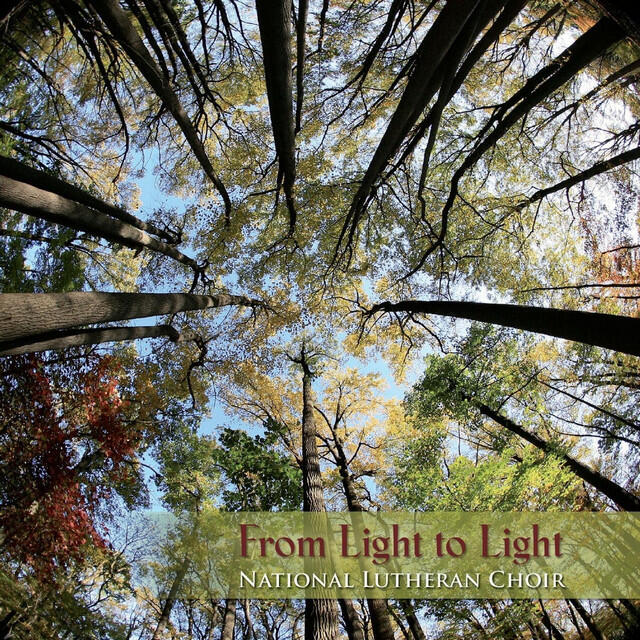 Релиз From Light to Light