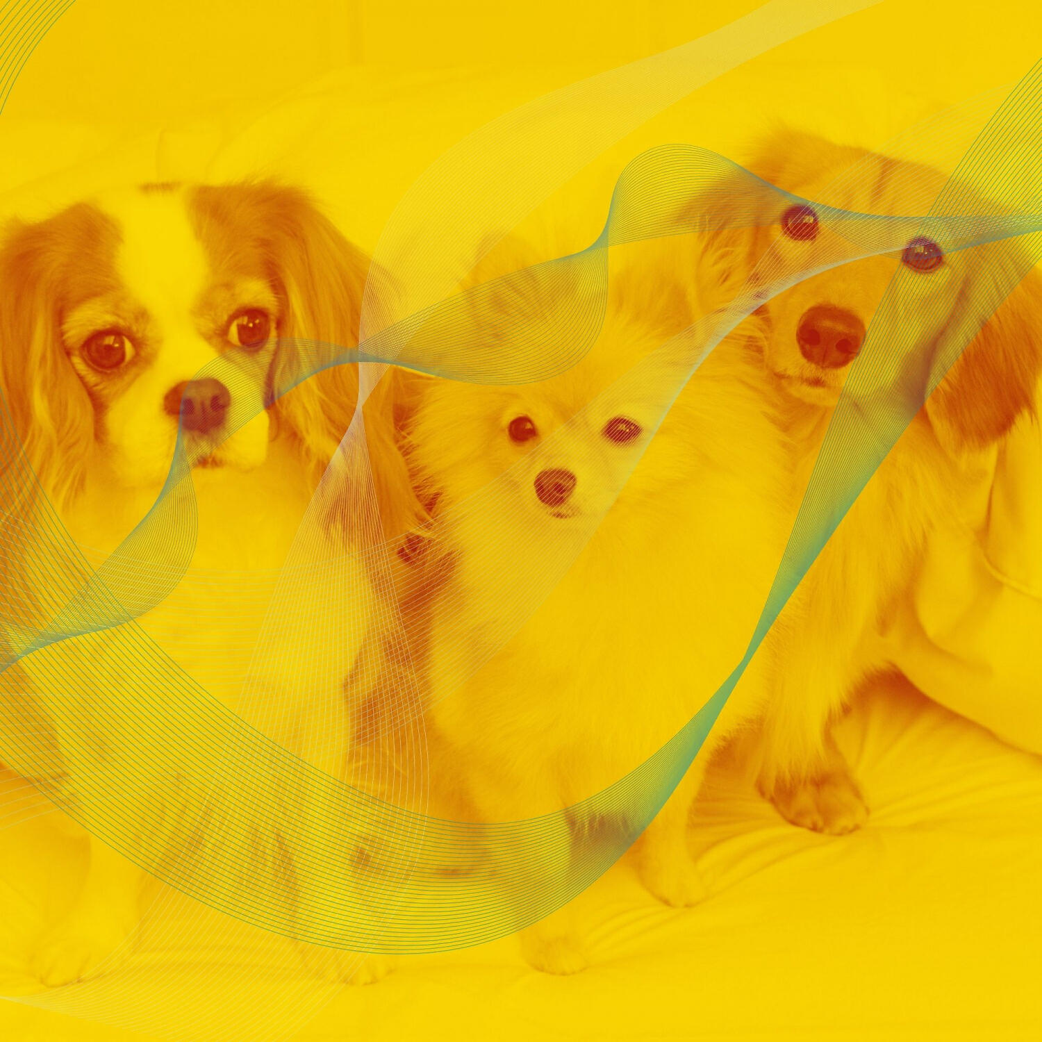Релиз Spectacular Bossa Saxophone - Ambiance for Sleeping Dogs