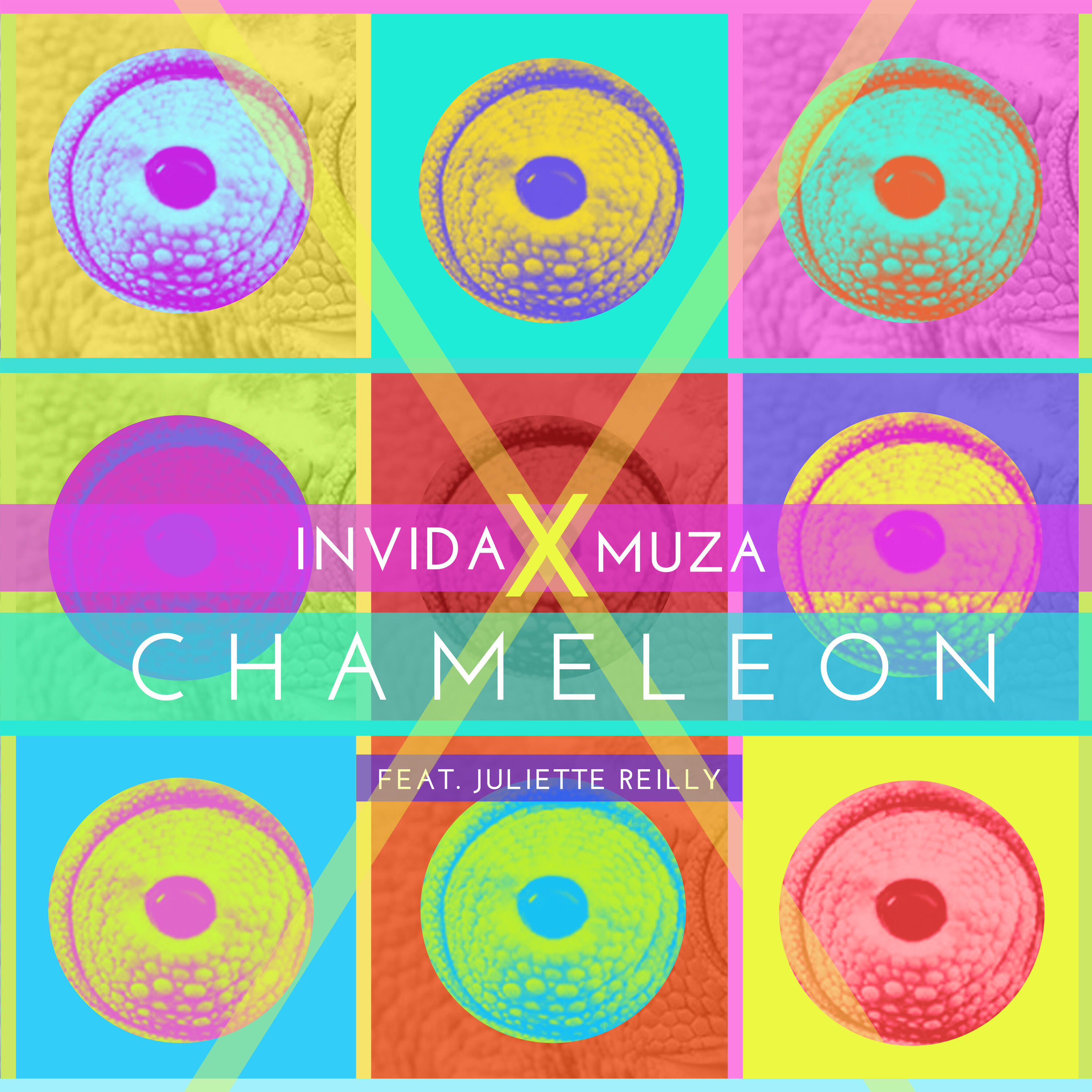 Релиз Chameleon