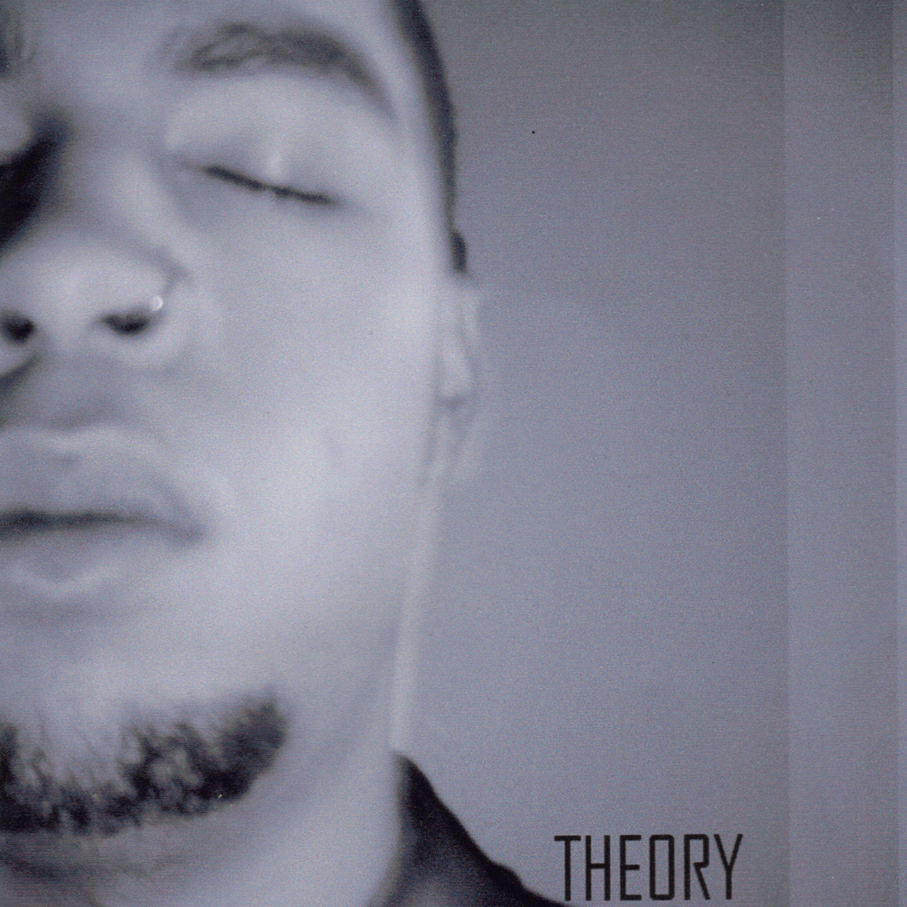 Релиз Theory