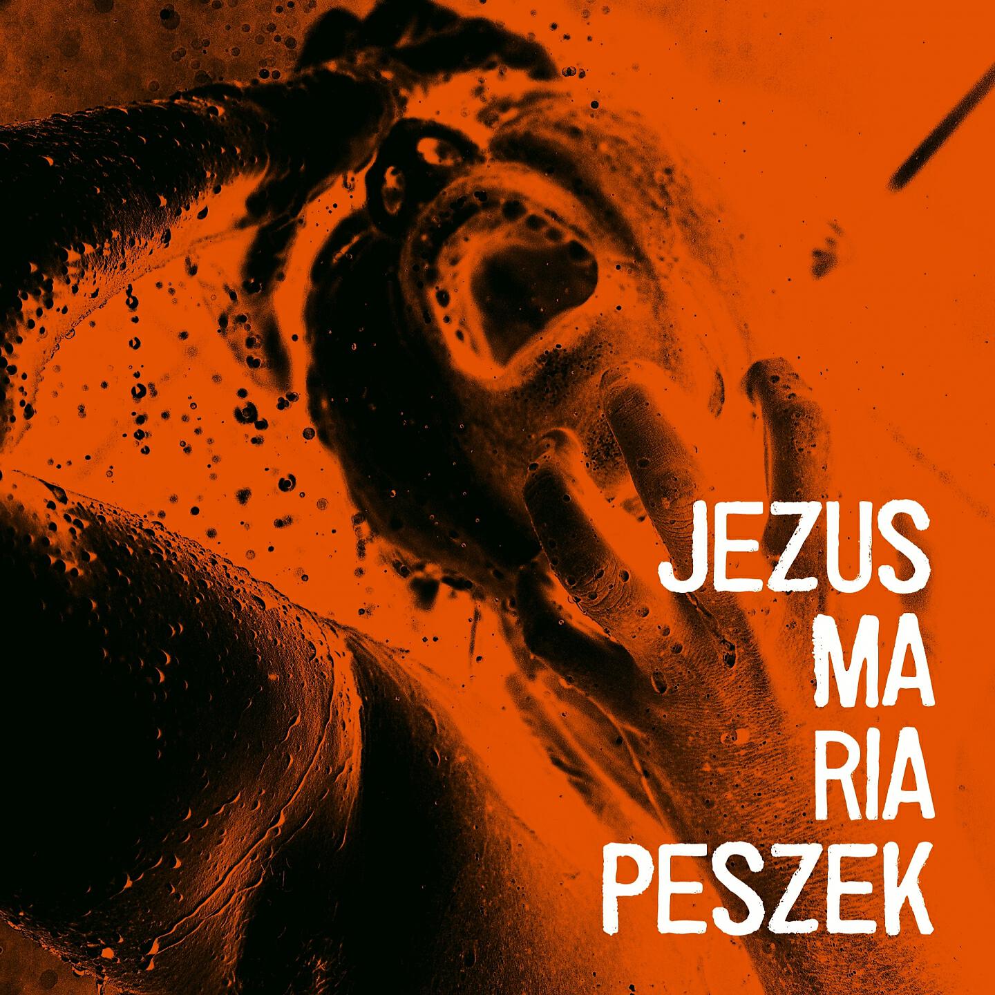 Релиз Jezus Maria Peszek