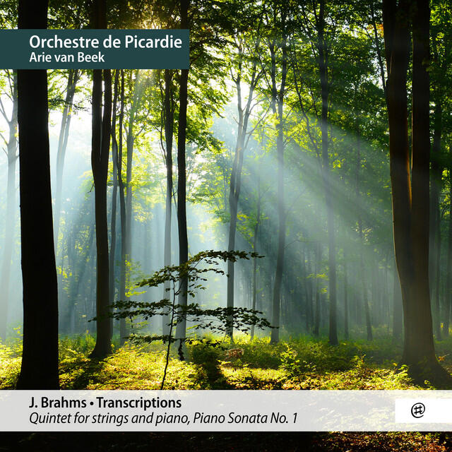 Релиз Brahms · Transcriptions