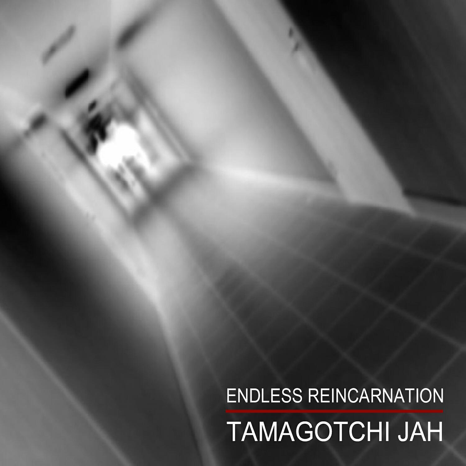 Релиз Endless Reincarnation