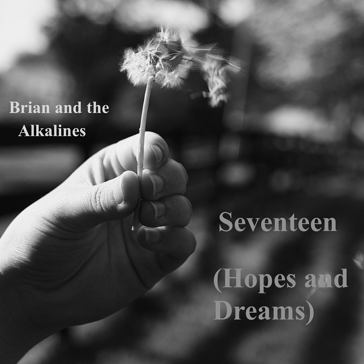 Релиз Seventeen (Hopes and Dreams)