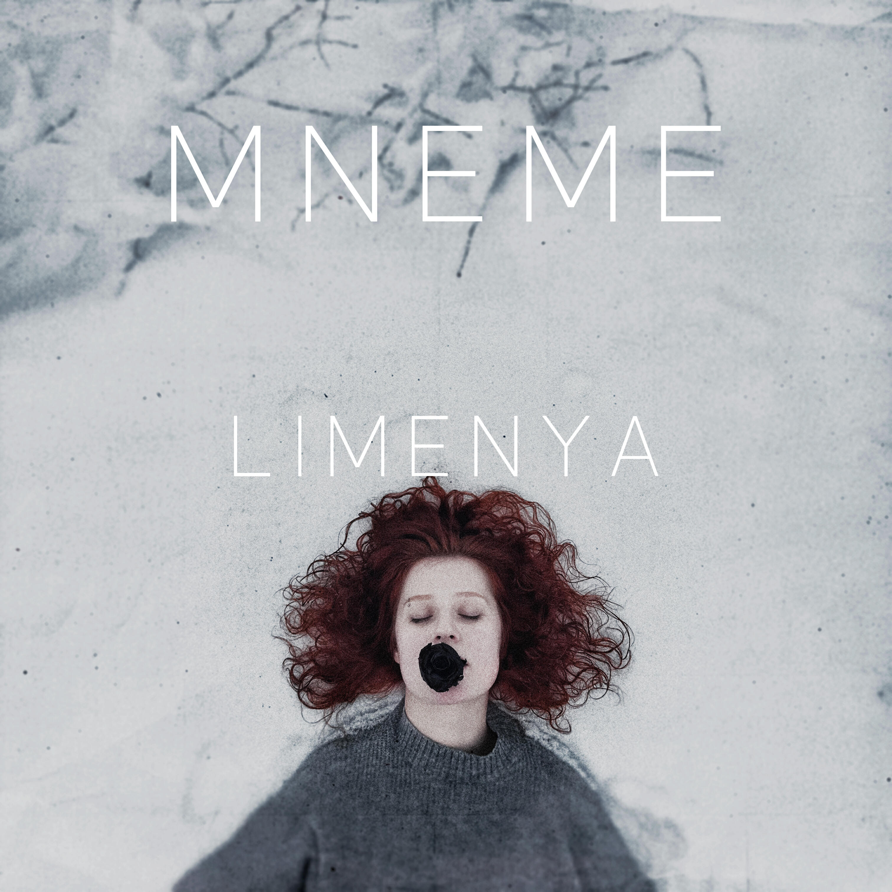 Релиз Mneme