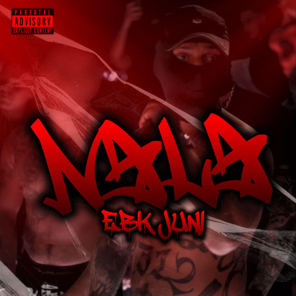Релиз NALA
