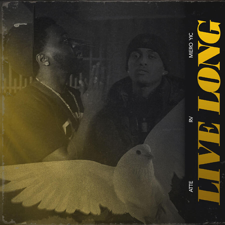 Релиз Live Long