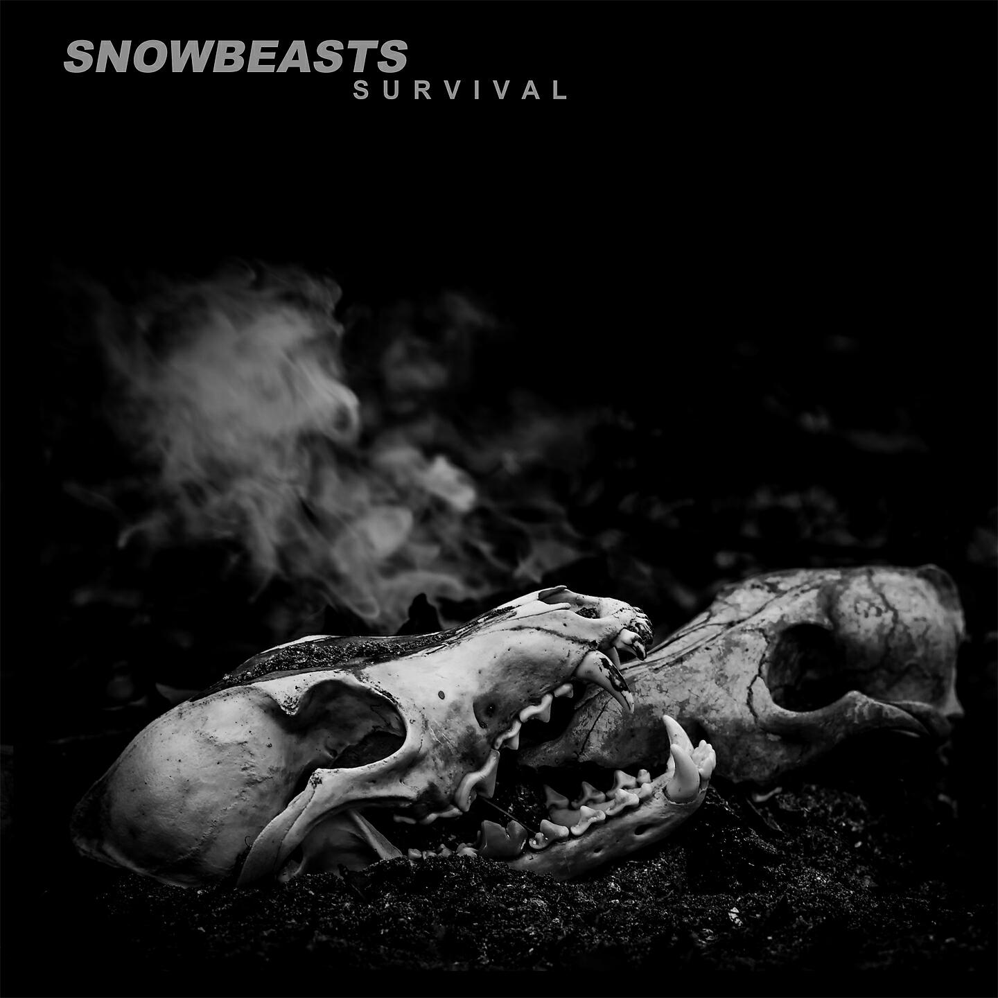 Релиз Survival