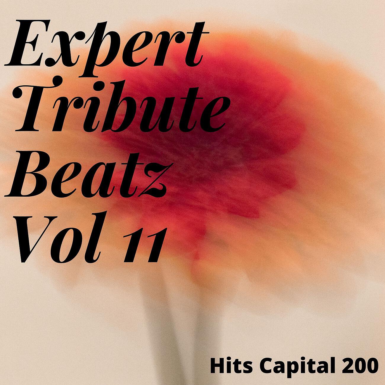 Релиз Expert Tribute Beatz Vol 11