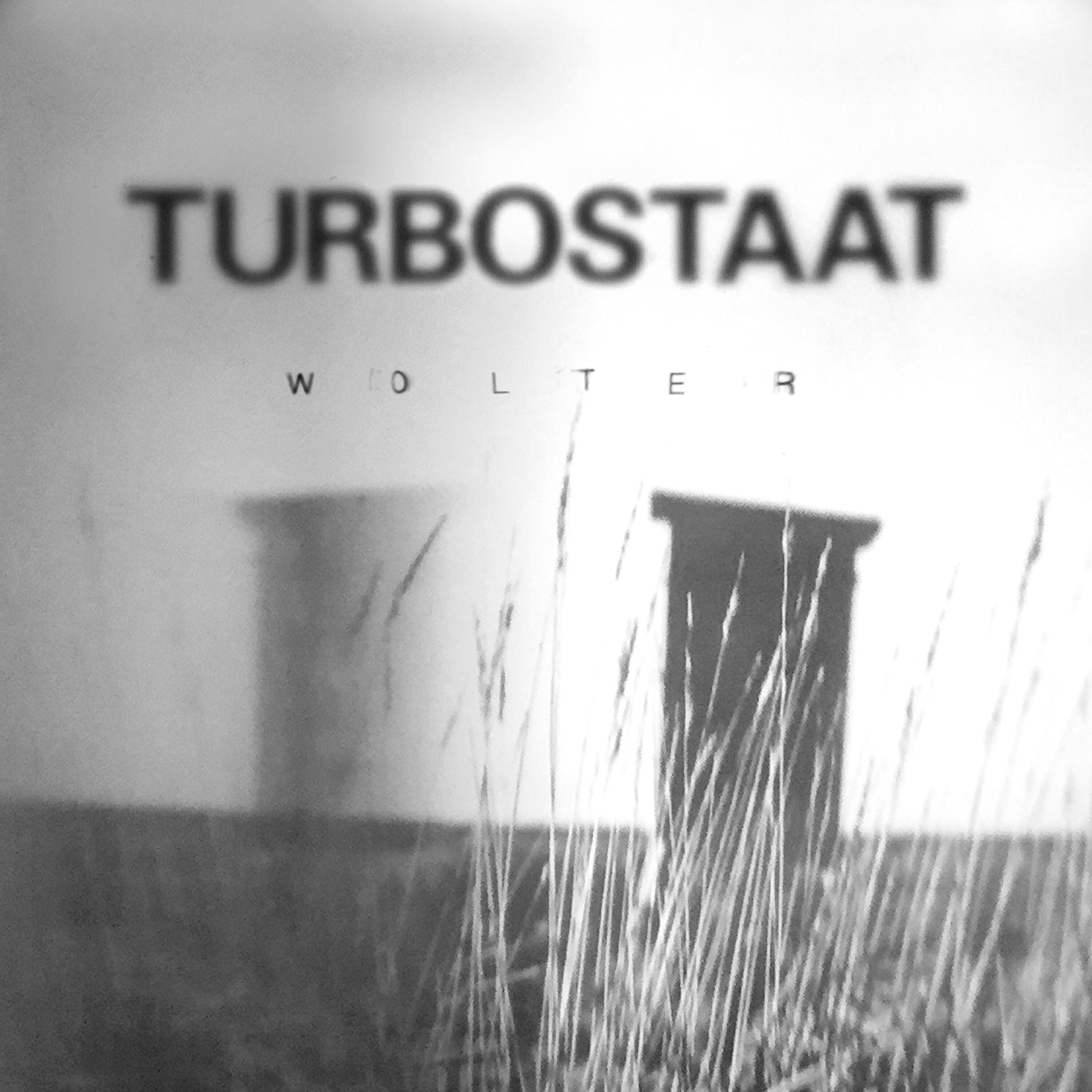 Релиз Wolter