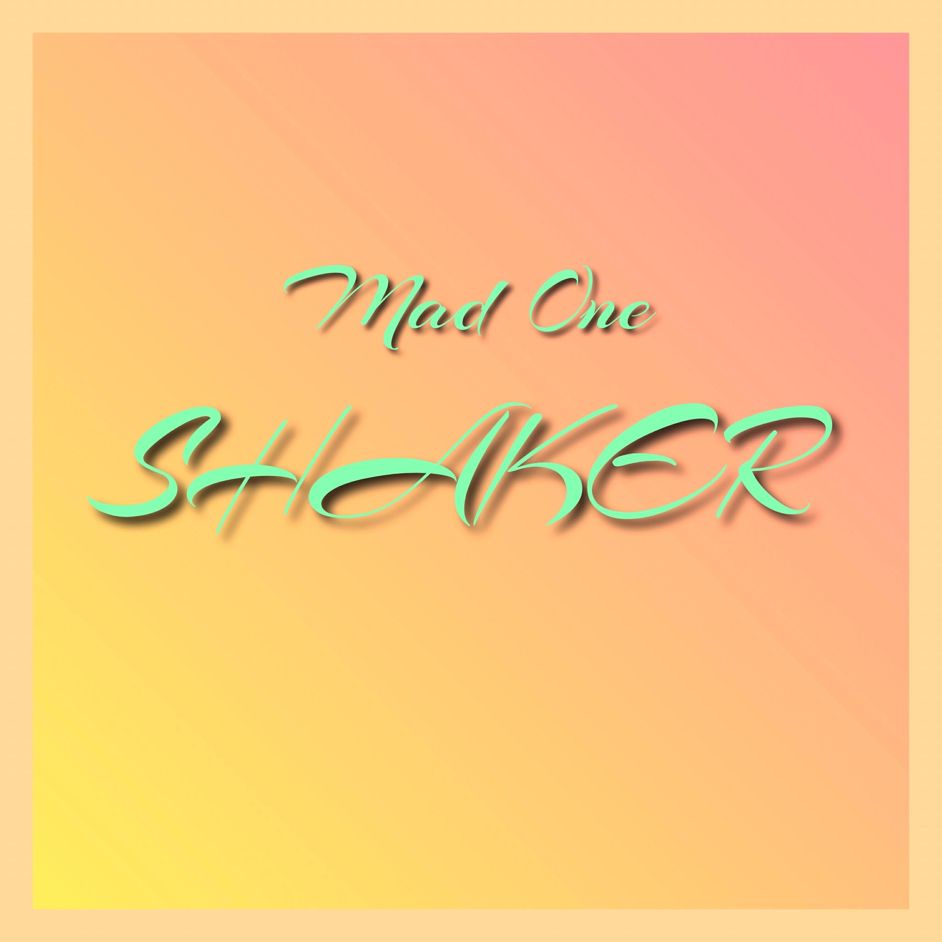 Релиз Shaker