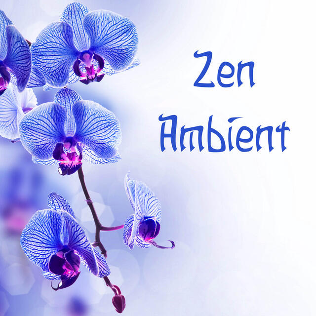 Релиз Calming Zen Ambient - Best Relaxation Music