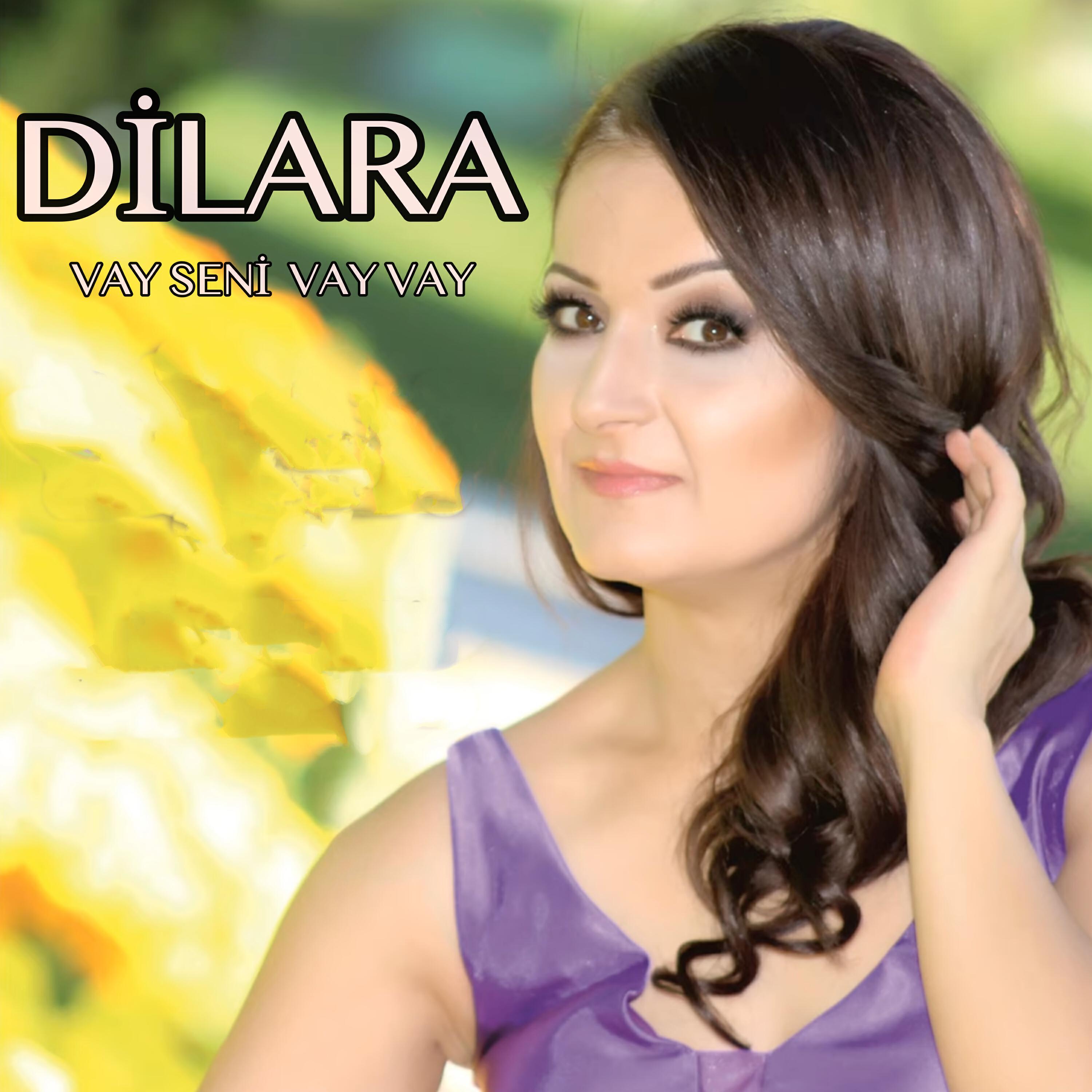Скачать песню Dilara - Vay Seni Vay Vay бесплатно в MP3 для Android и iOS