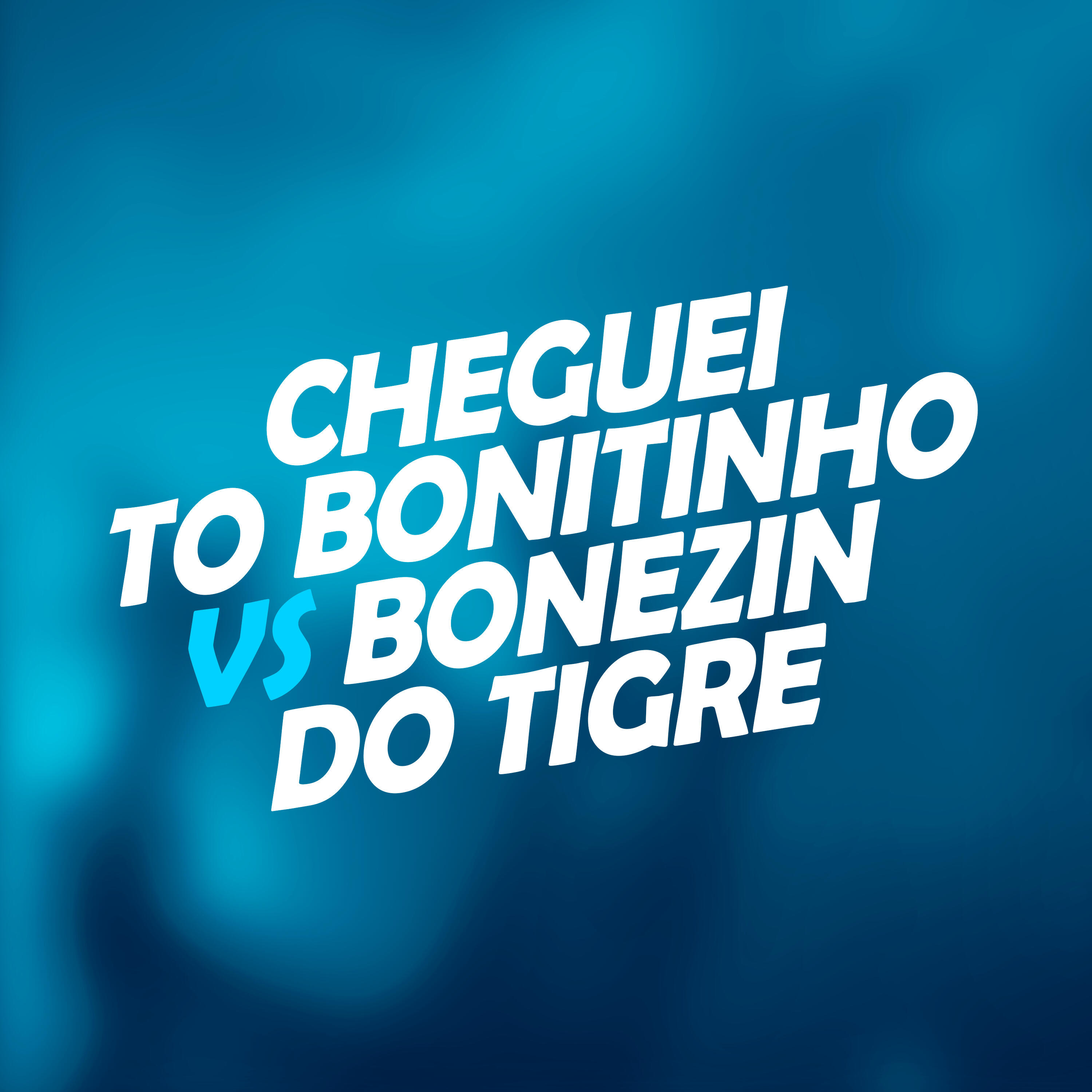 Скачать песню DJ Christian Vibe, Mc Alef - Cheguei To Bonitinho Vs Bonezin do Tigre бесплатно в MP3 для Android и iOS