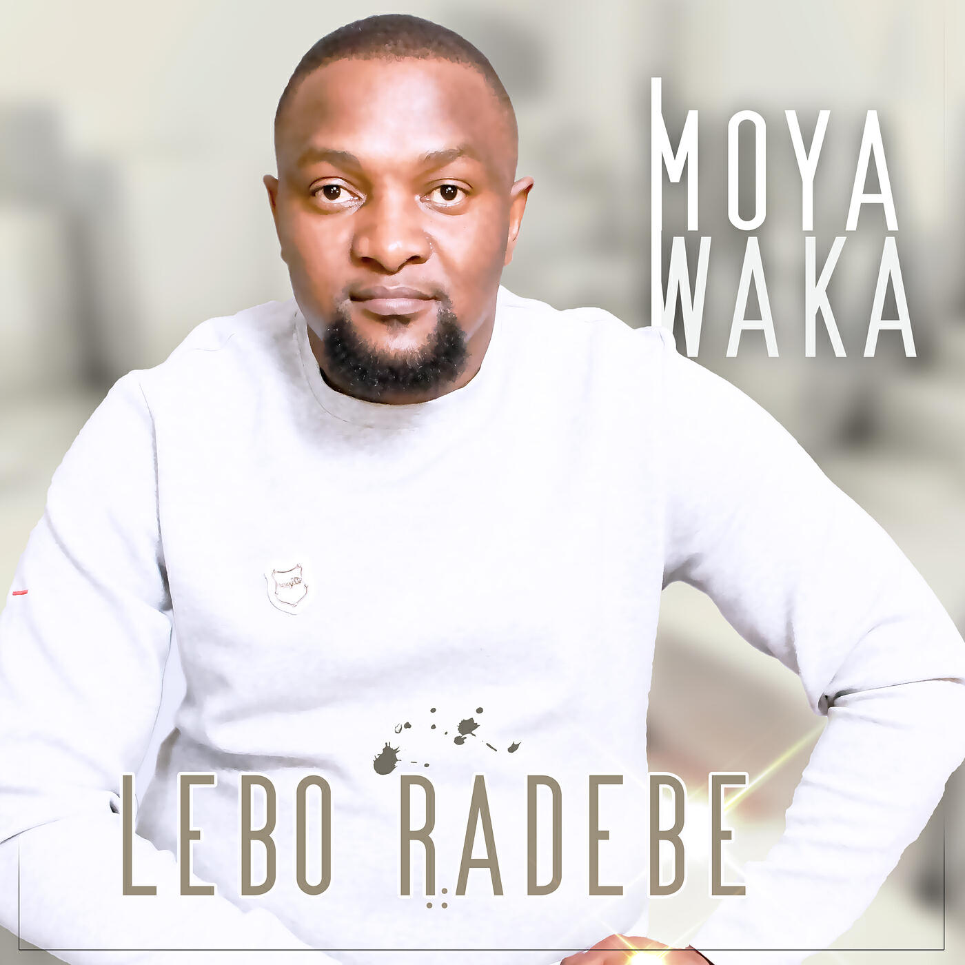 Релиз Moya Waka