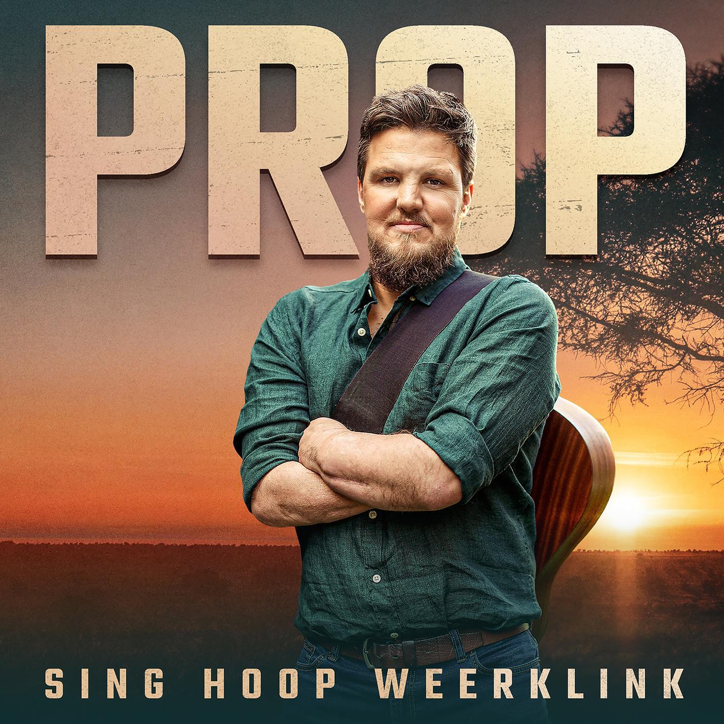 Релиз Sing Hoop Weerklink