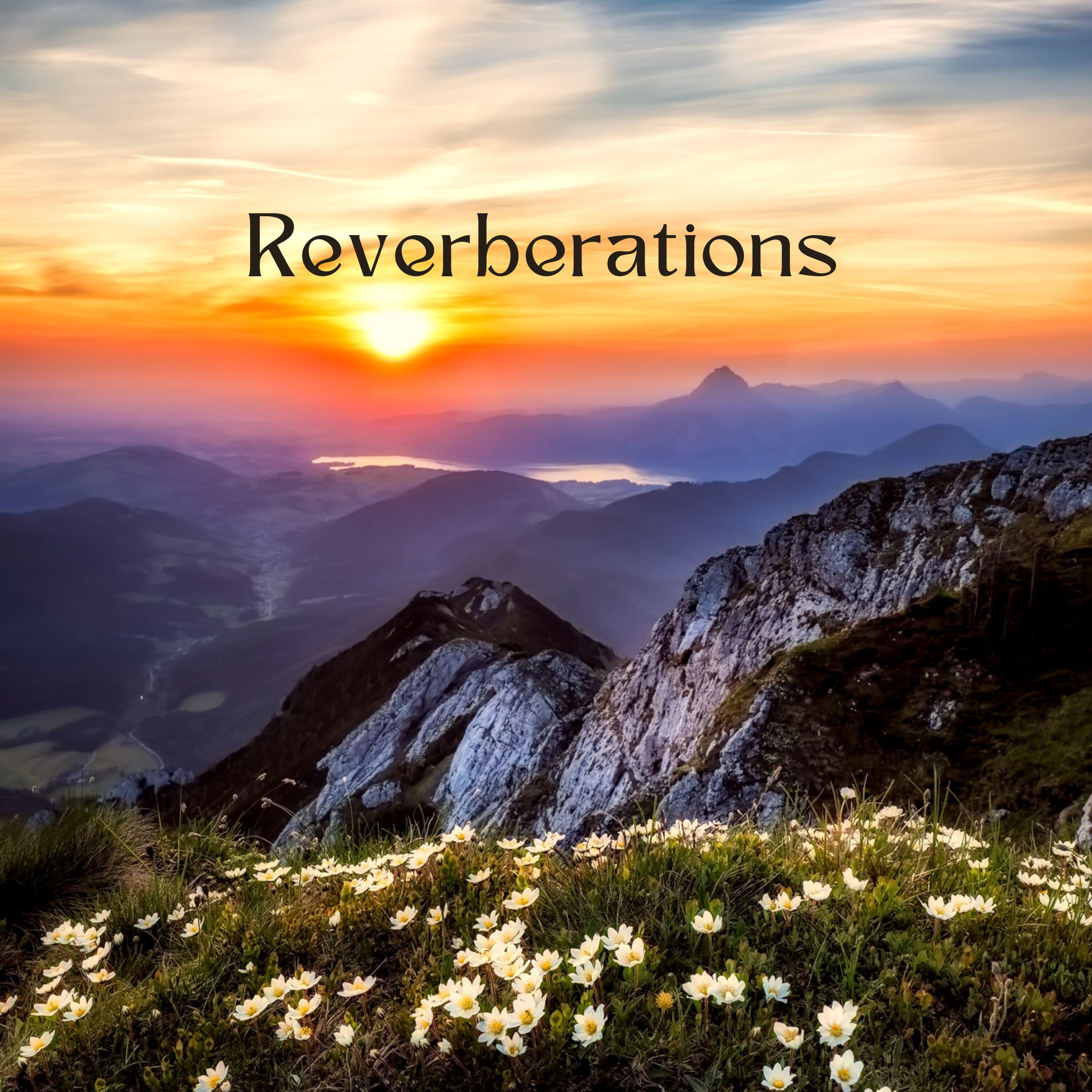 Релиз Reverberations