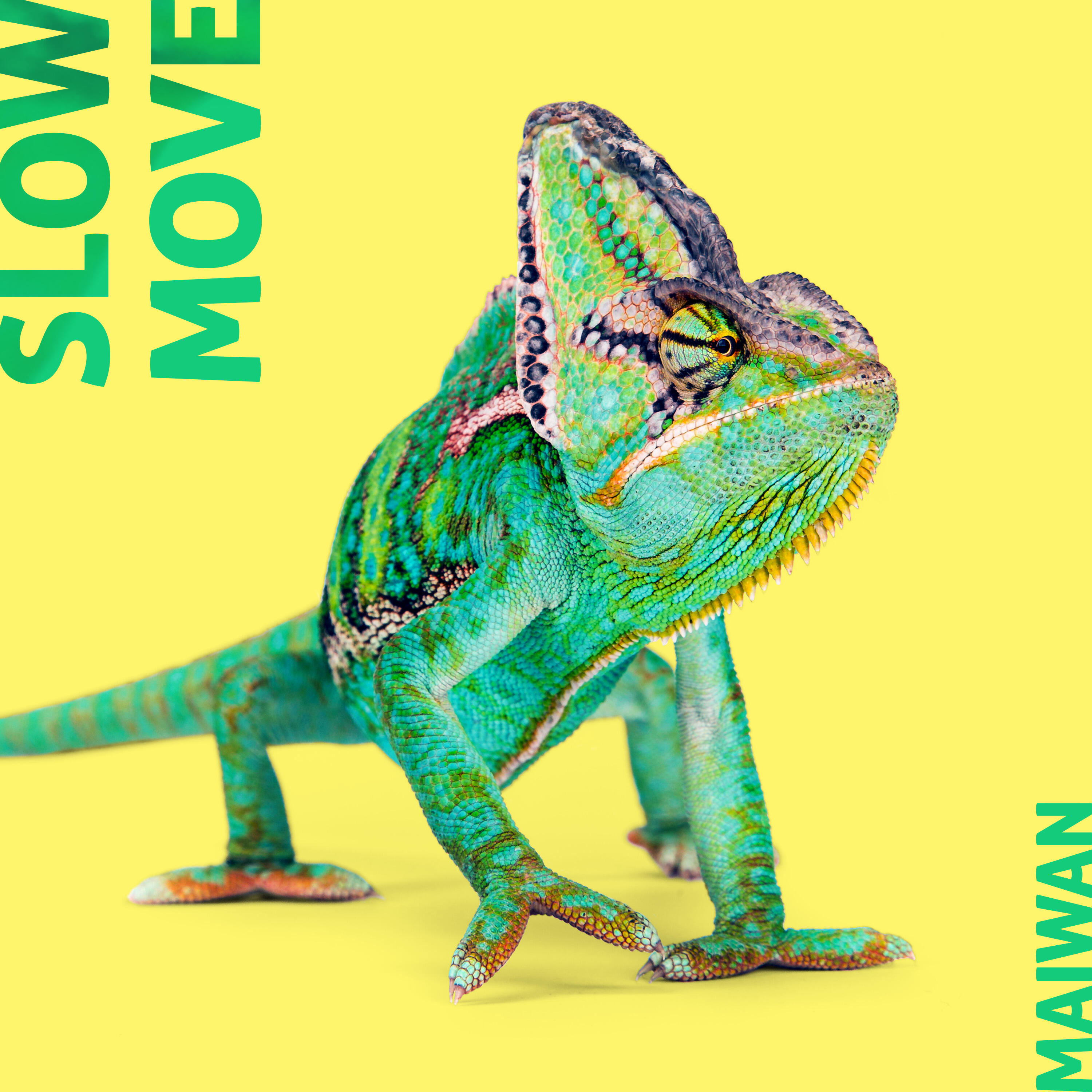 Релиз Slow Move