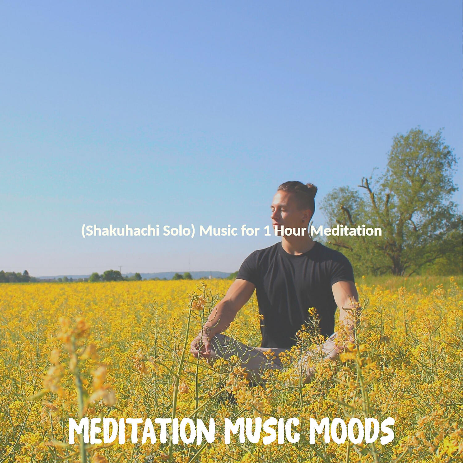 Meditation Music Moods