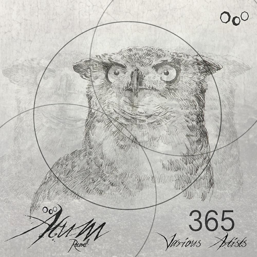 Релиз 365