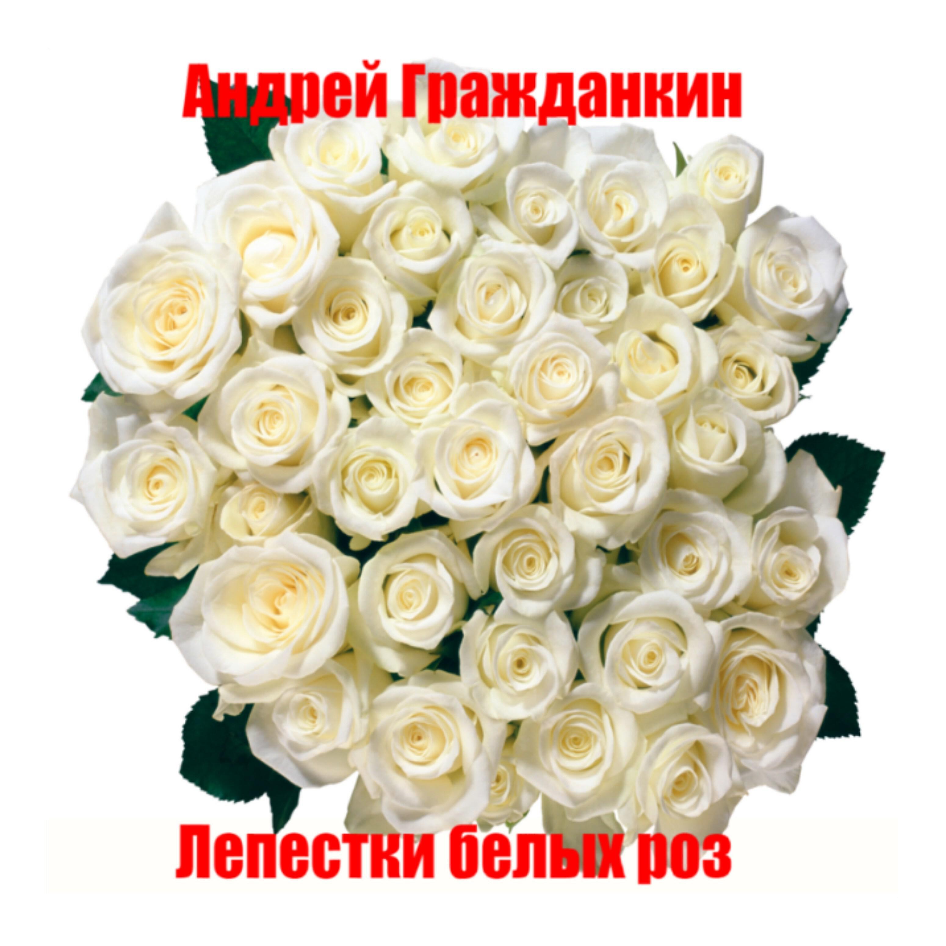 Релиз Лепестки белых роз