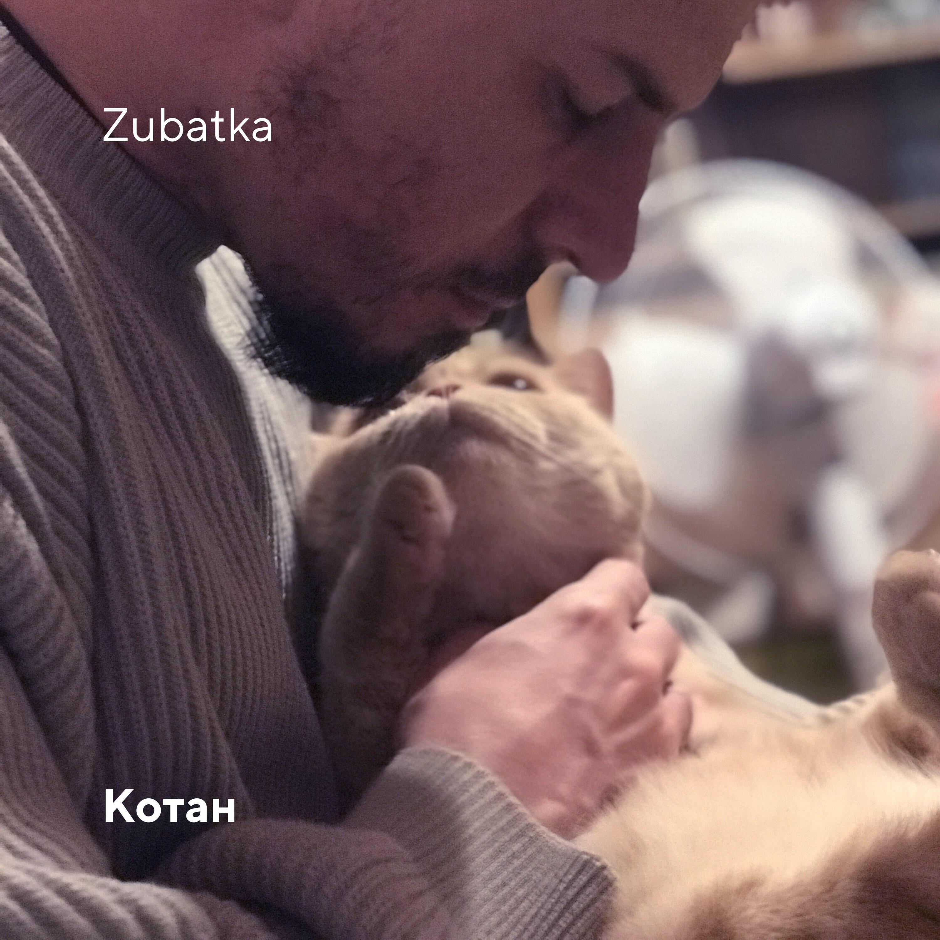 Релиз Котан