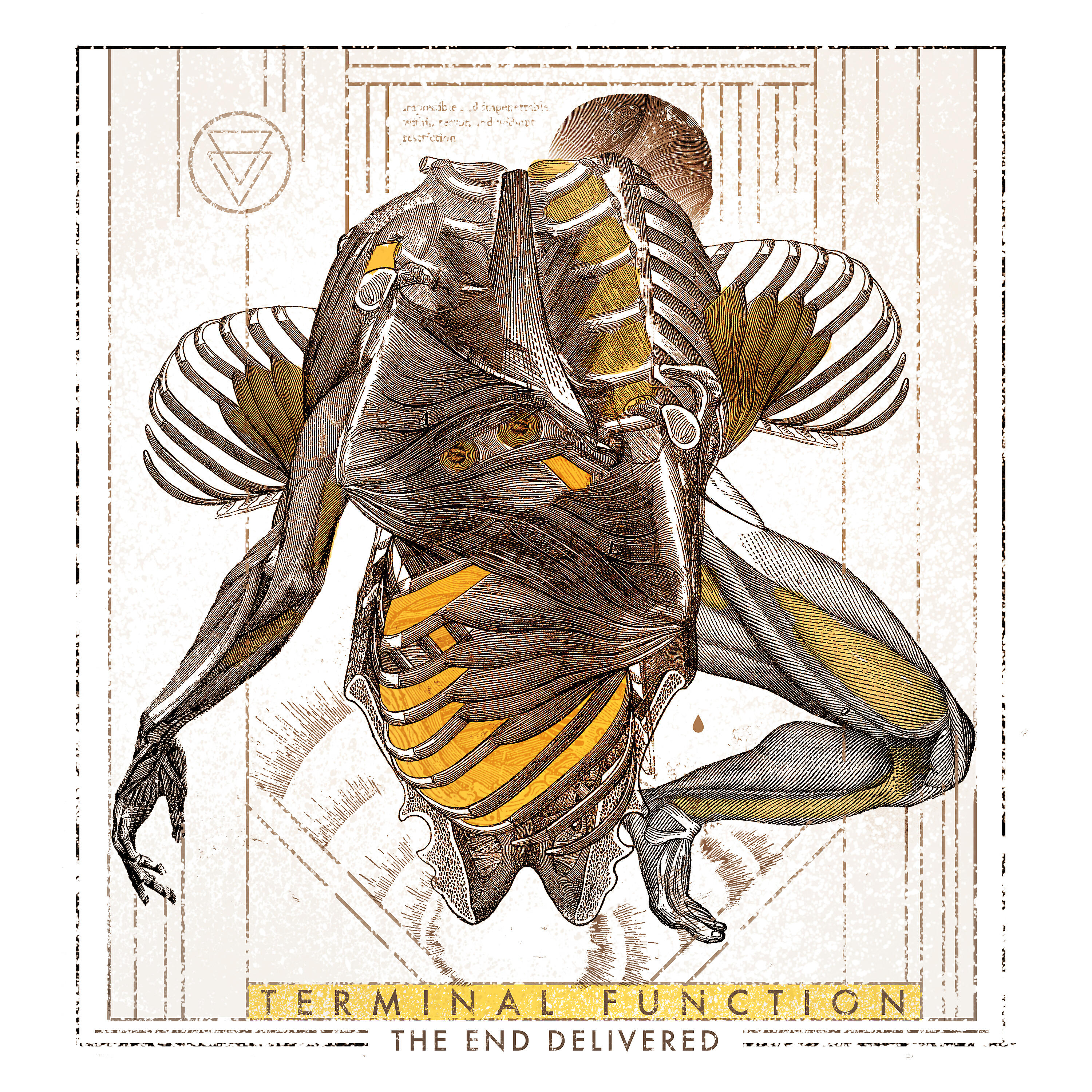 Релиз The End Delivered