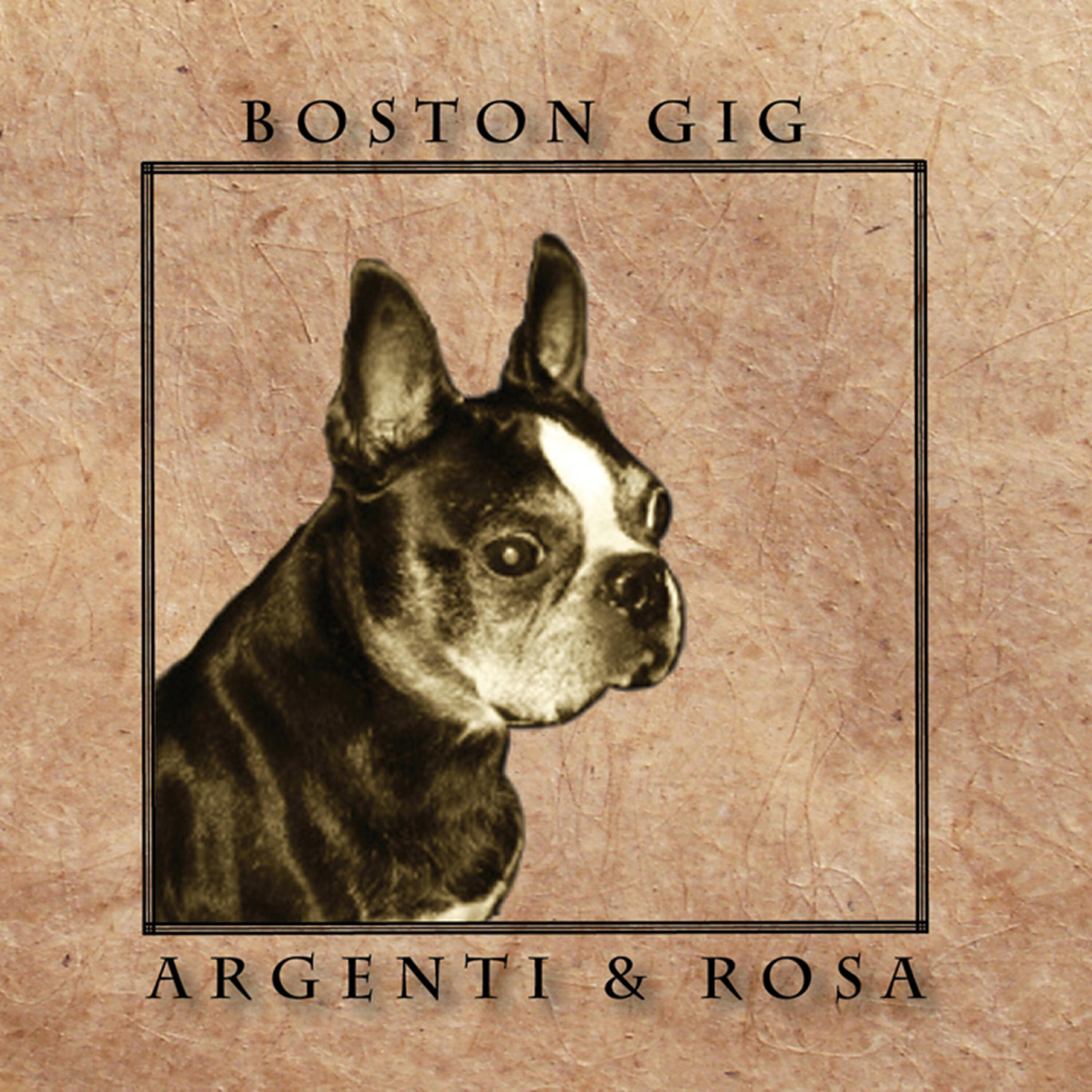 Постер альбома Boston Gig