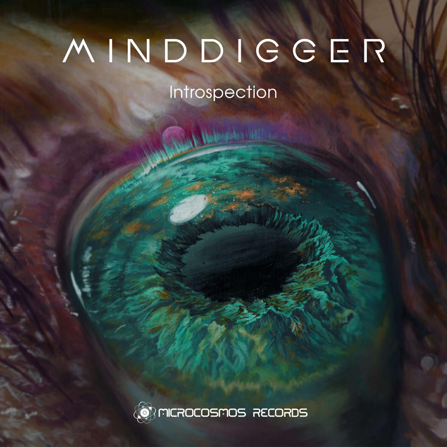 Релиз Introspection