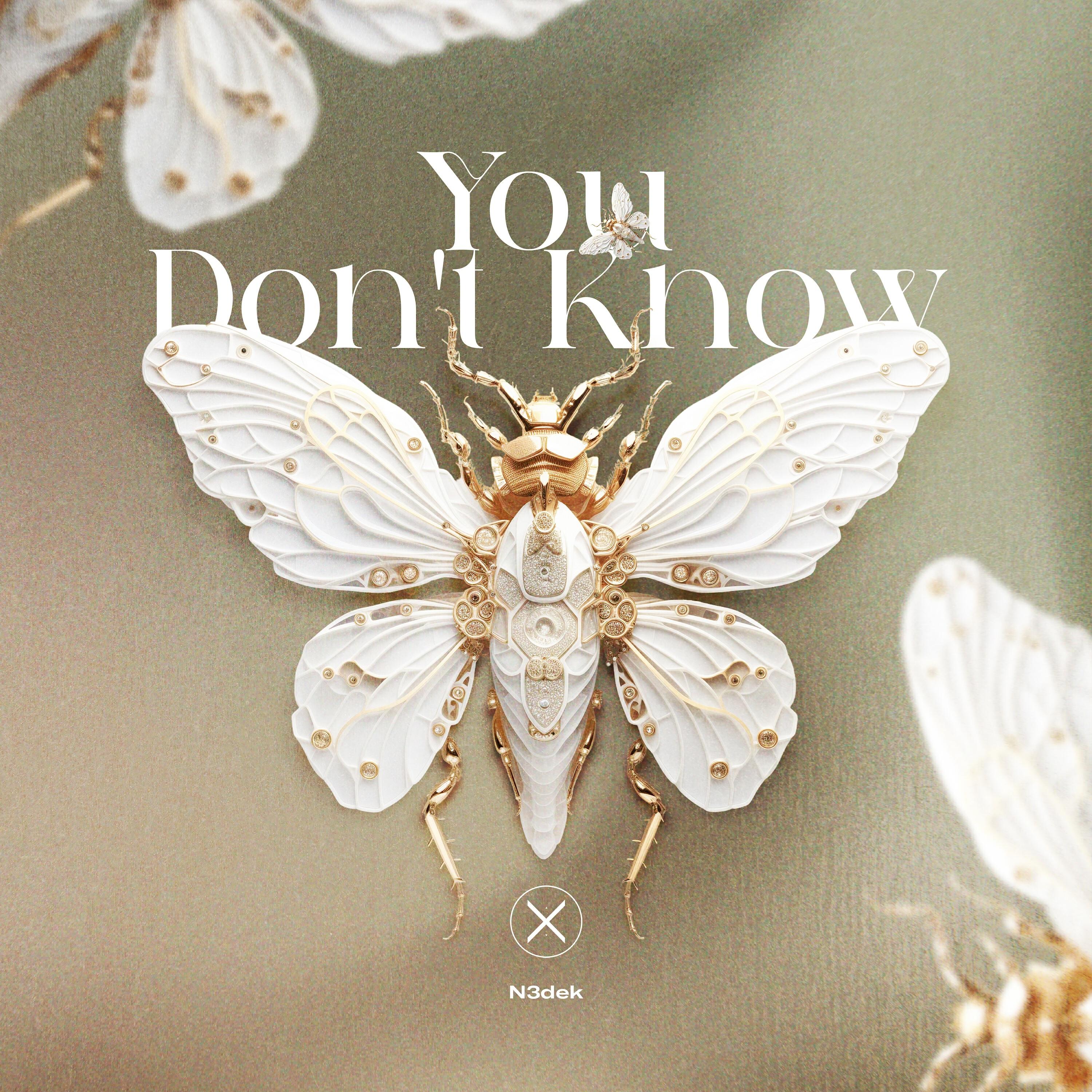 Релиз You Don't Know