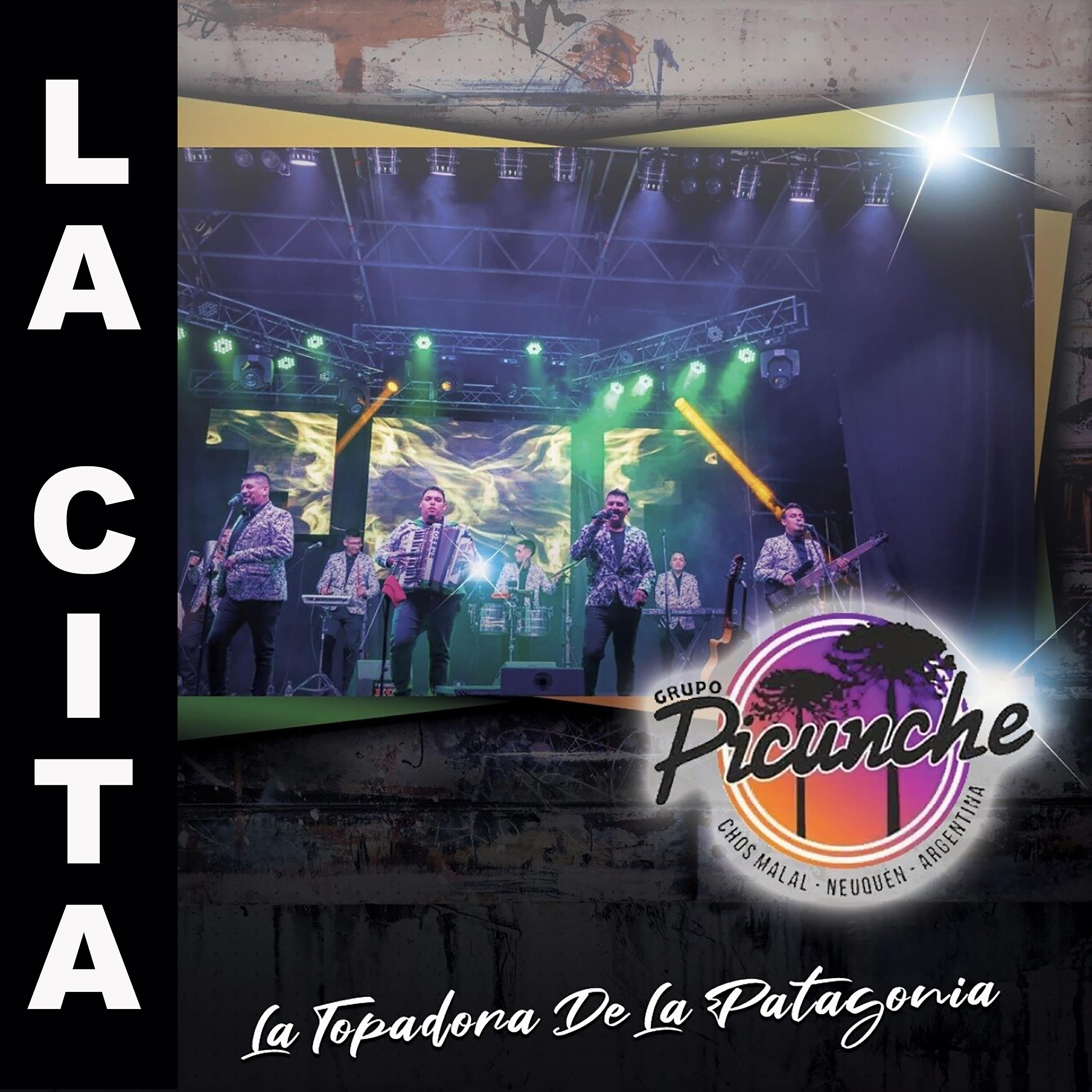 Grupo Picunche