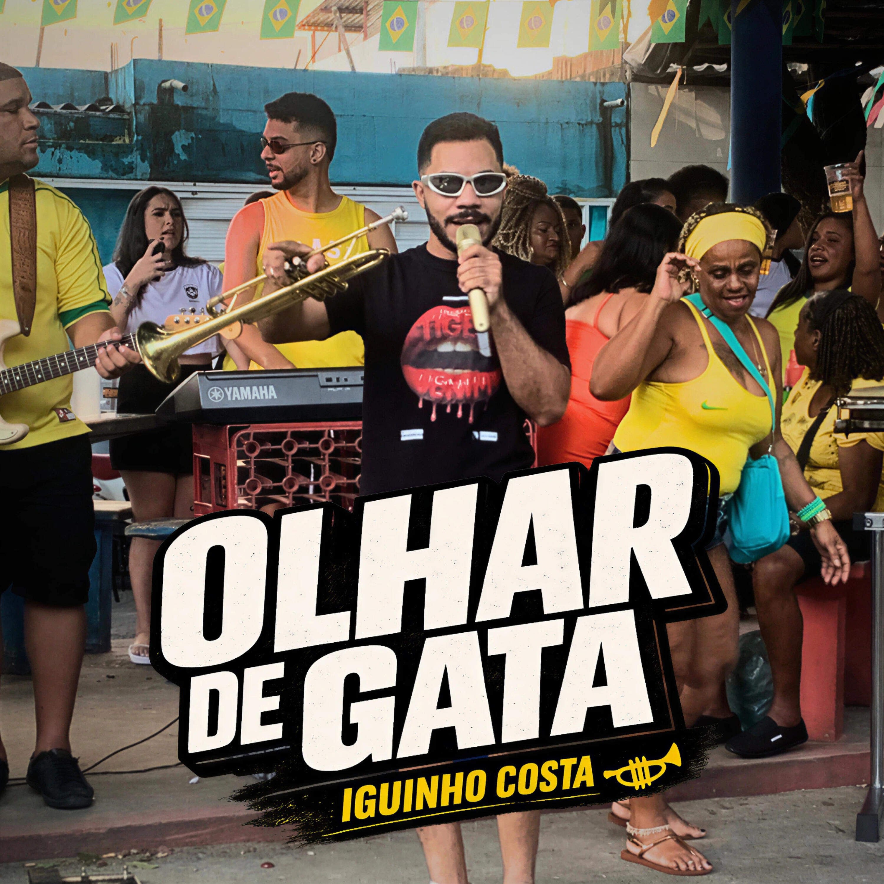 Релиз Olhar de Gata