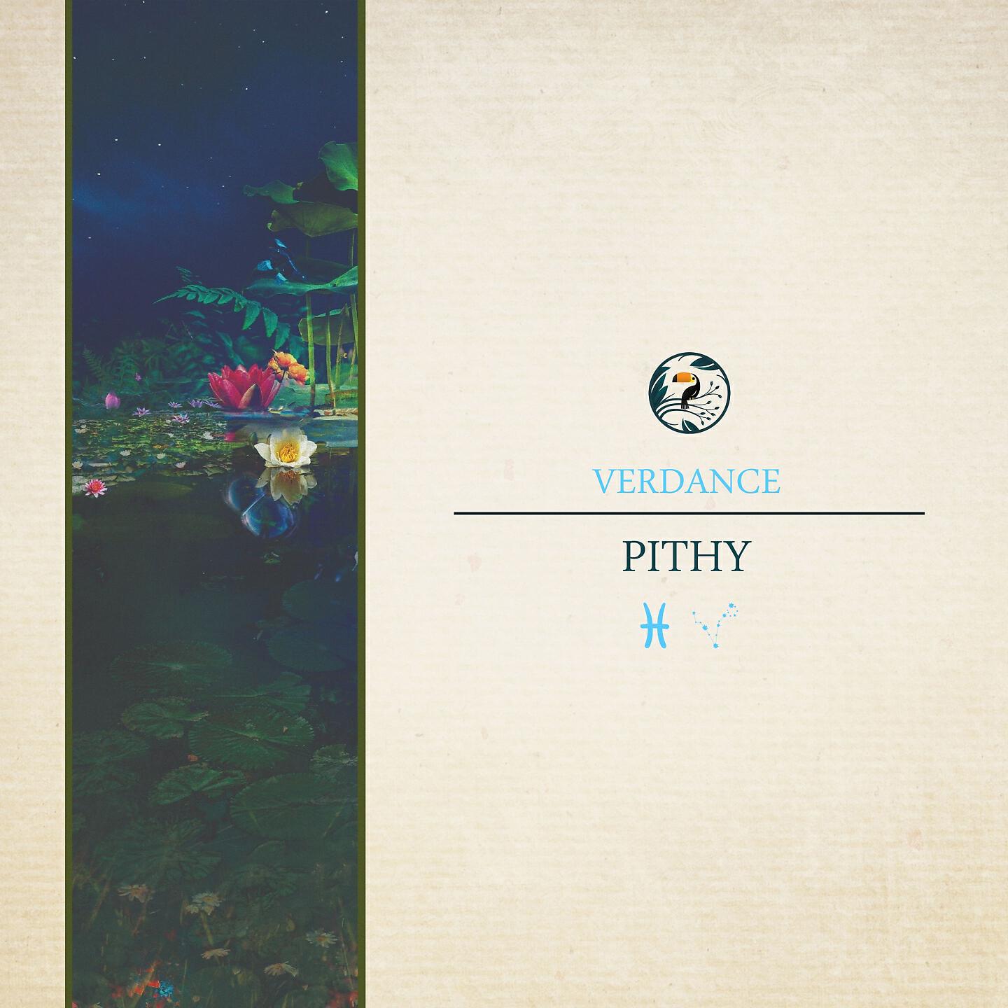 Релиз Pithy