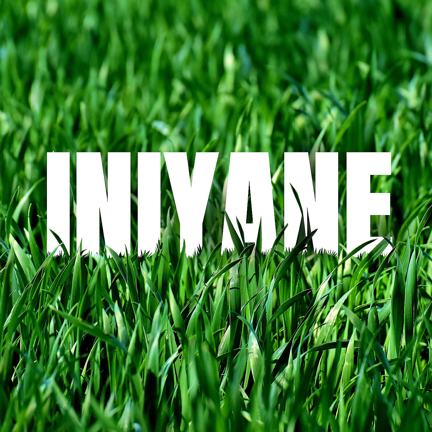 Релиз Iniyane