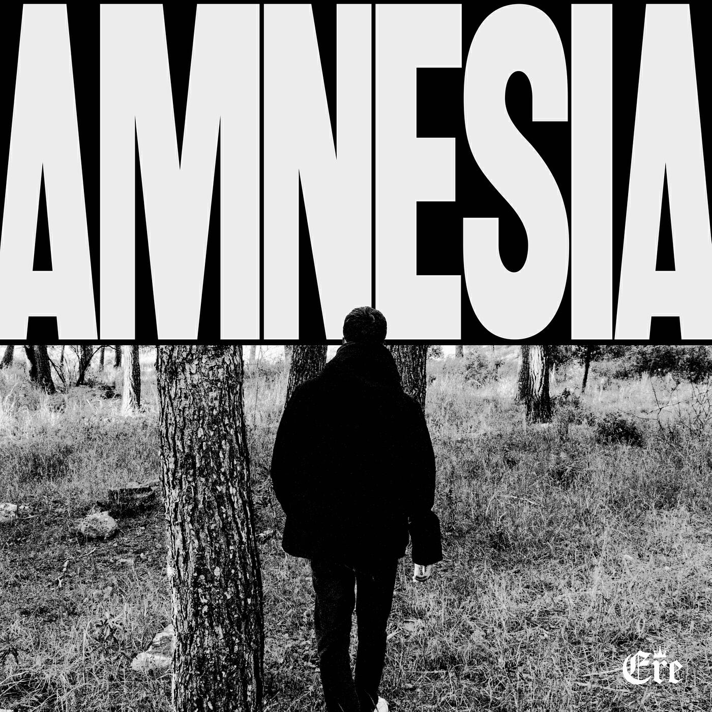 Релиз AMNESIA