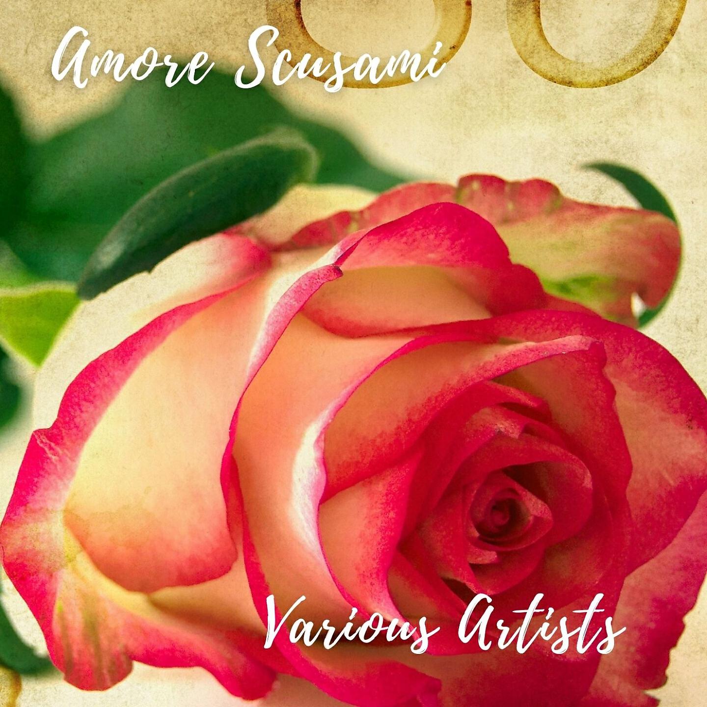 Постер альбома Amore scusami