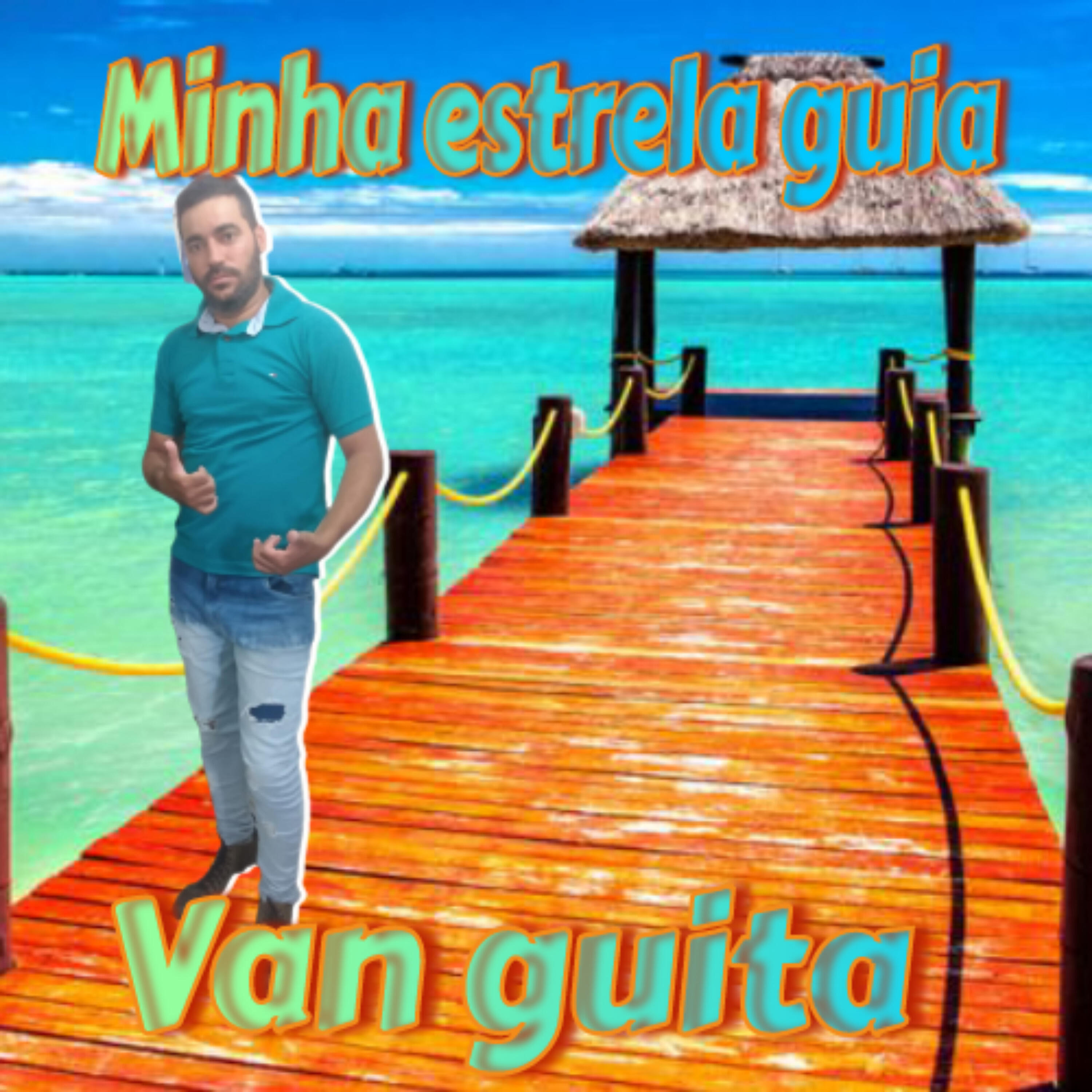 Van guita