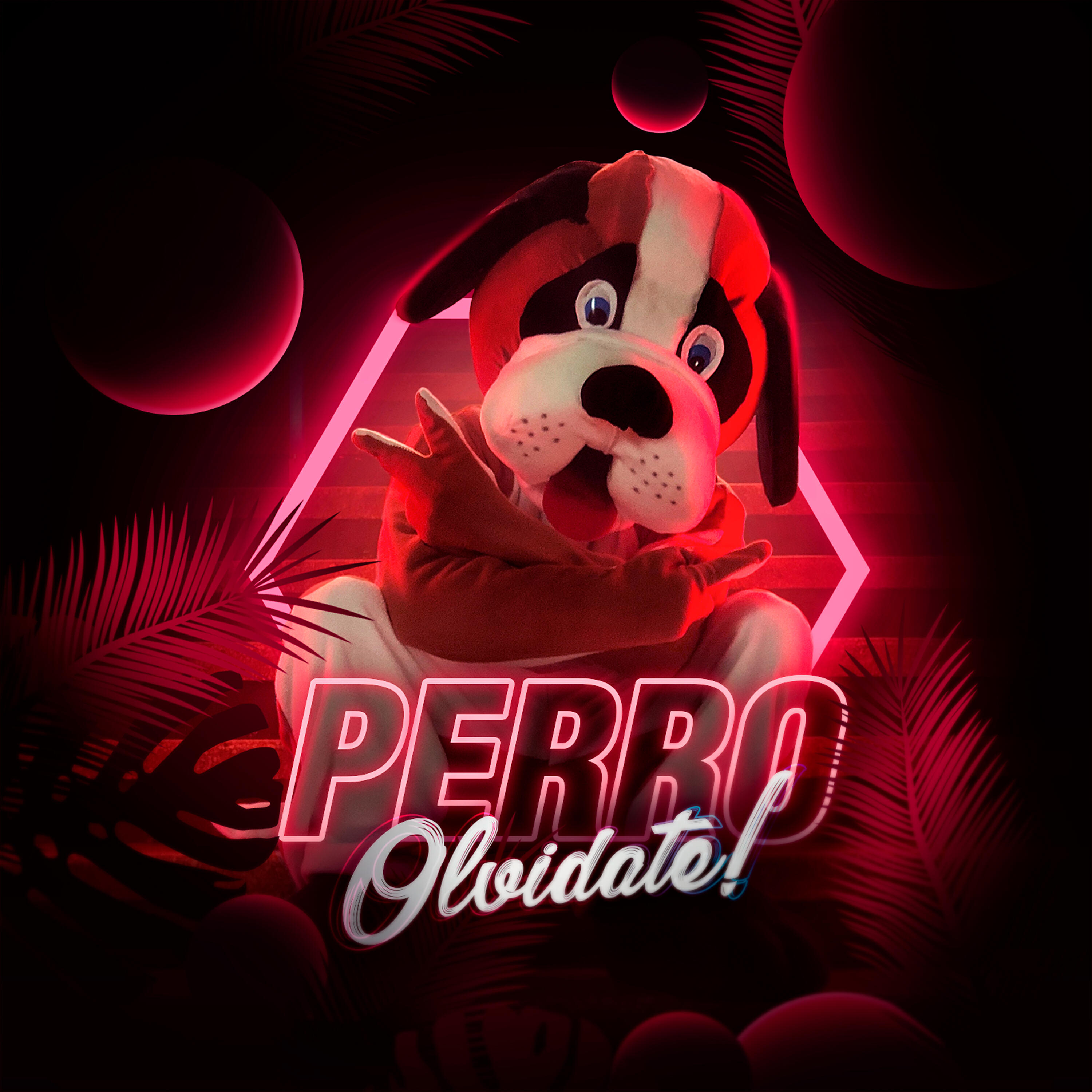 Релиз Perro