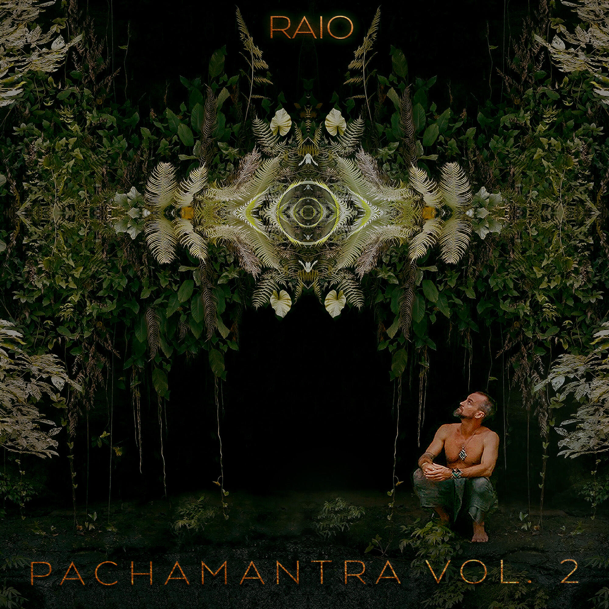 Релиз Pachamantra, Vol. 2