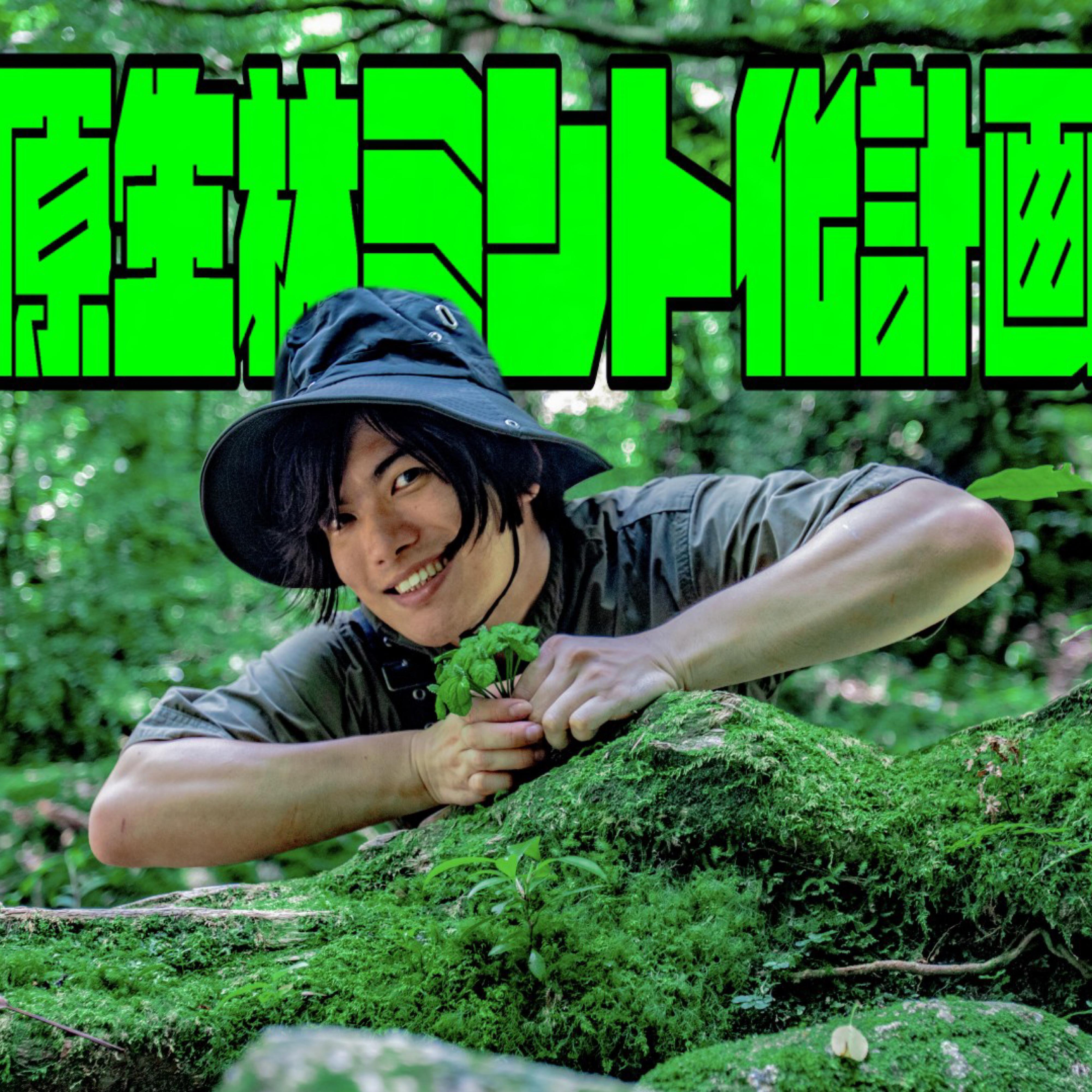 Релиз 原生林ミント化計画