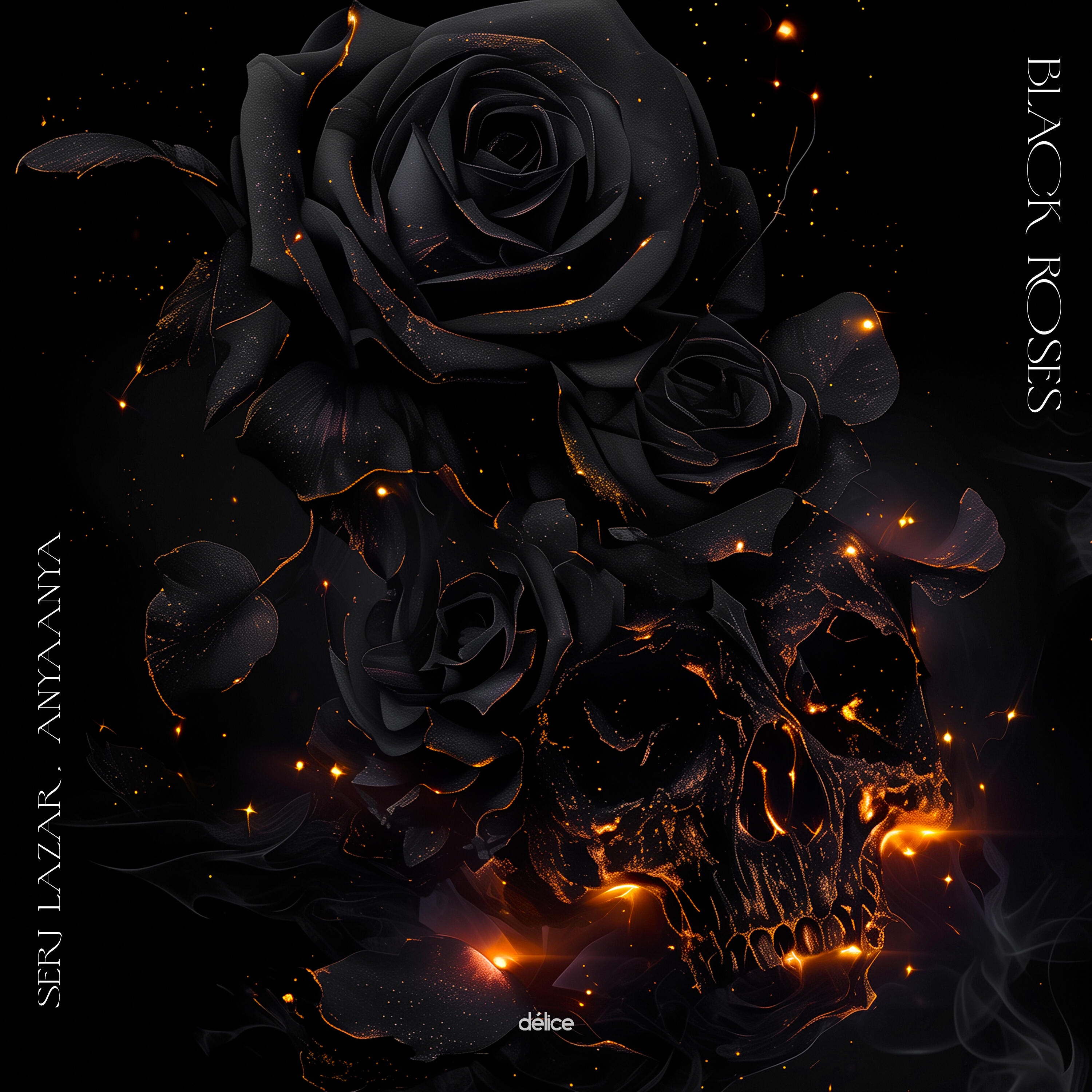 Постер альбома Black Roses