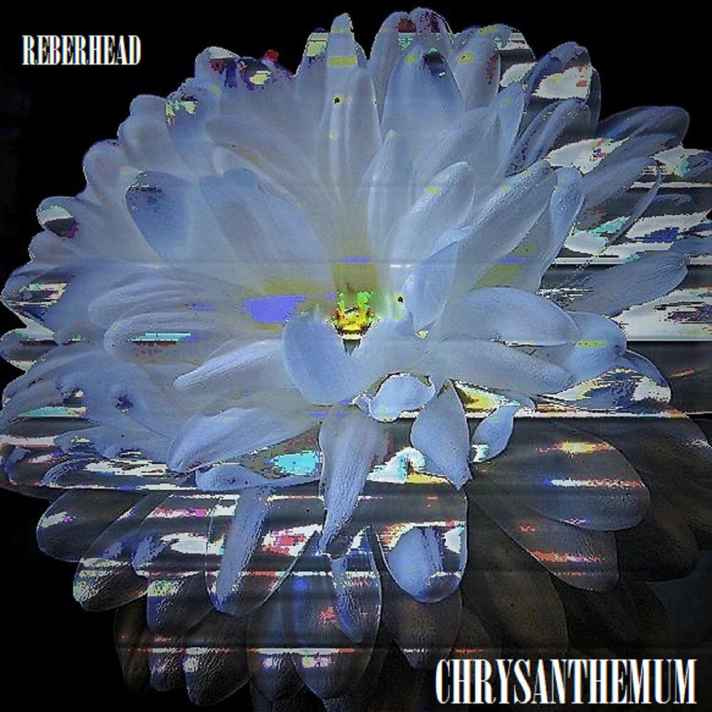 Релиз Chrysanthemum