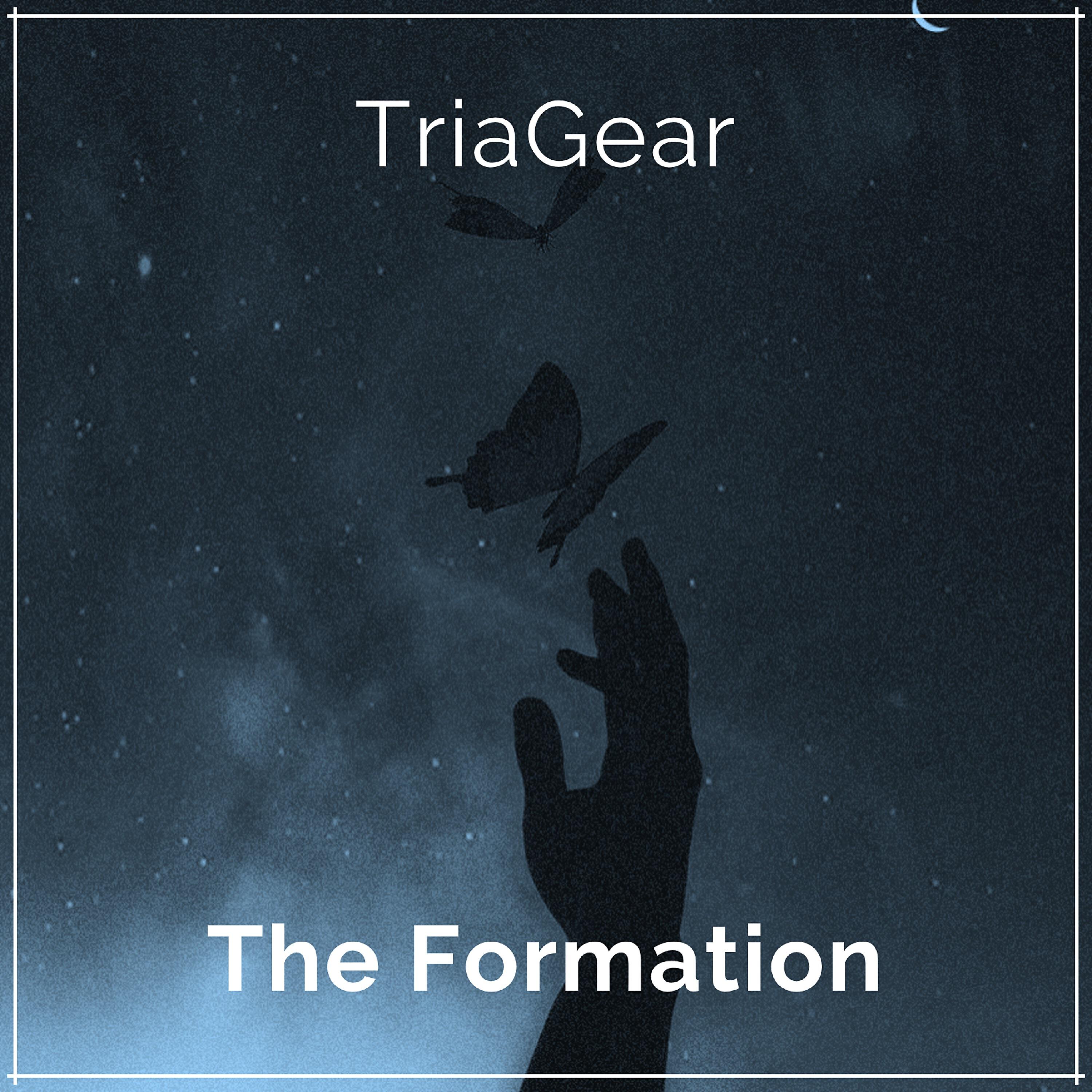 Релиз The Formation