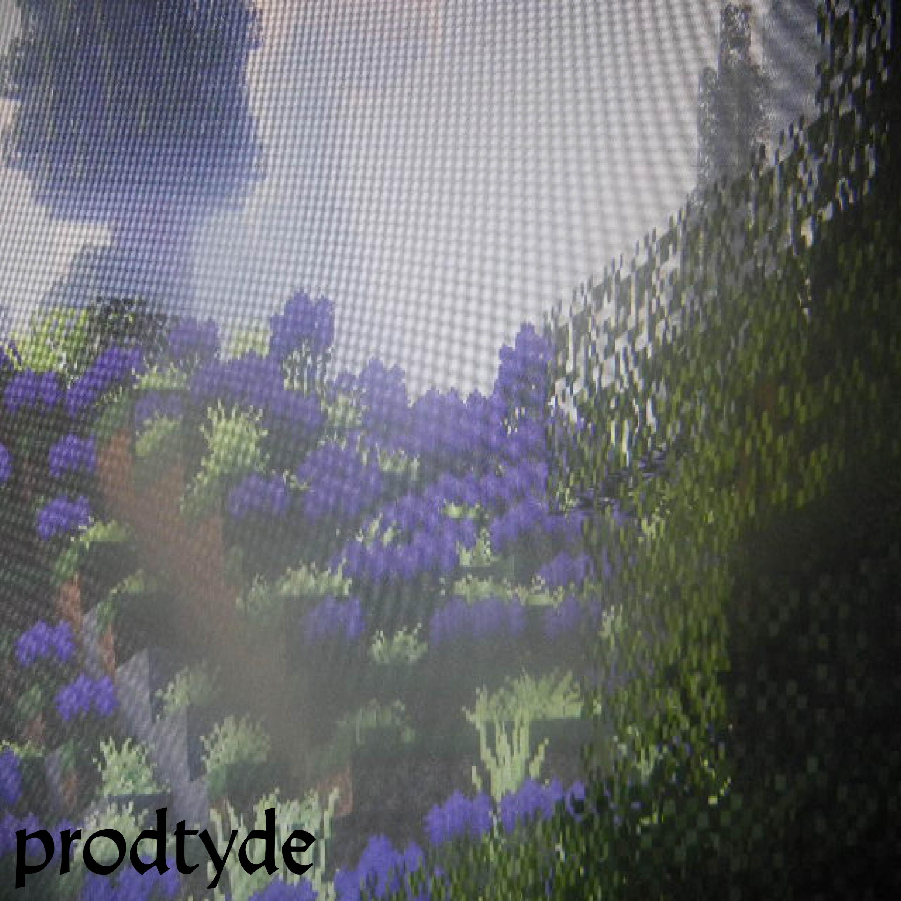 prodtyde